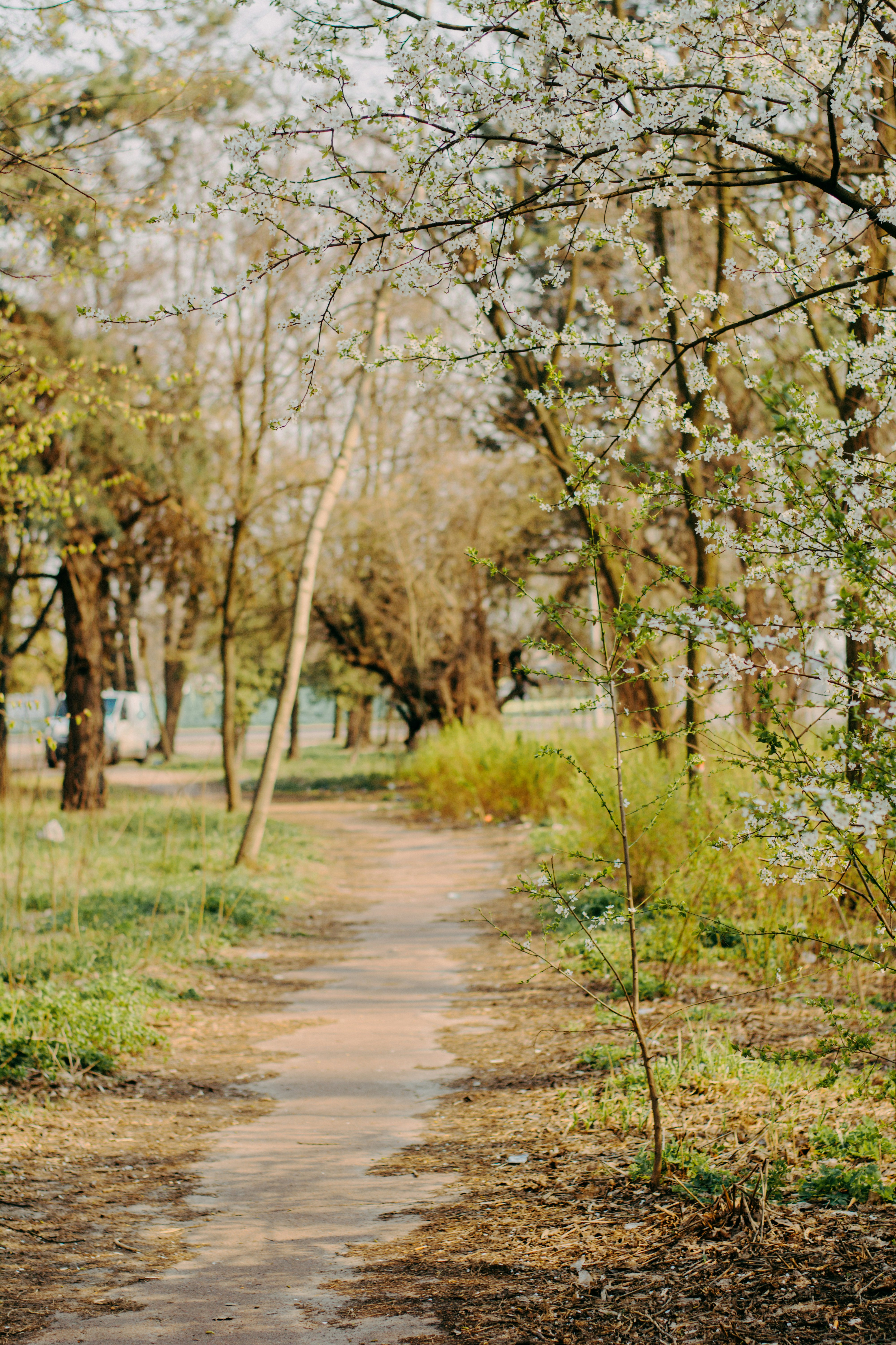 Photo by eugenivy_now