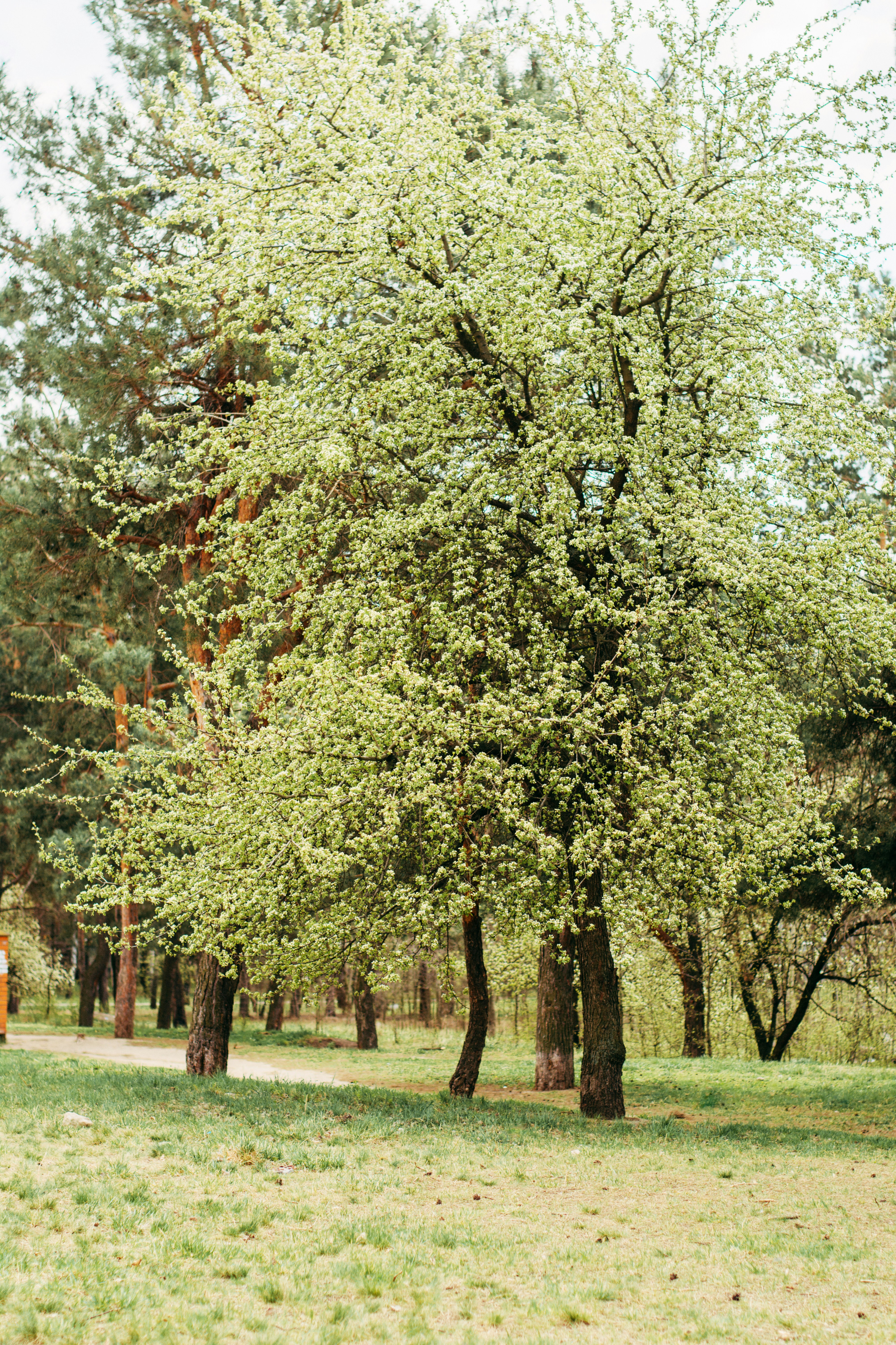 Photo by eugenivy_now