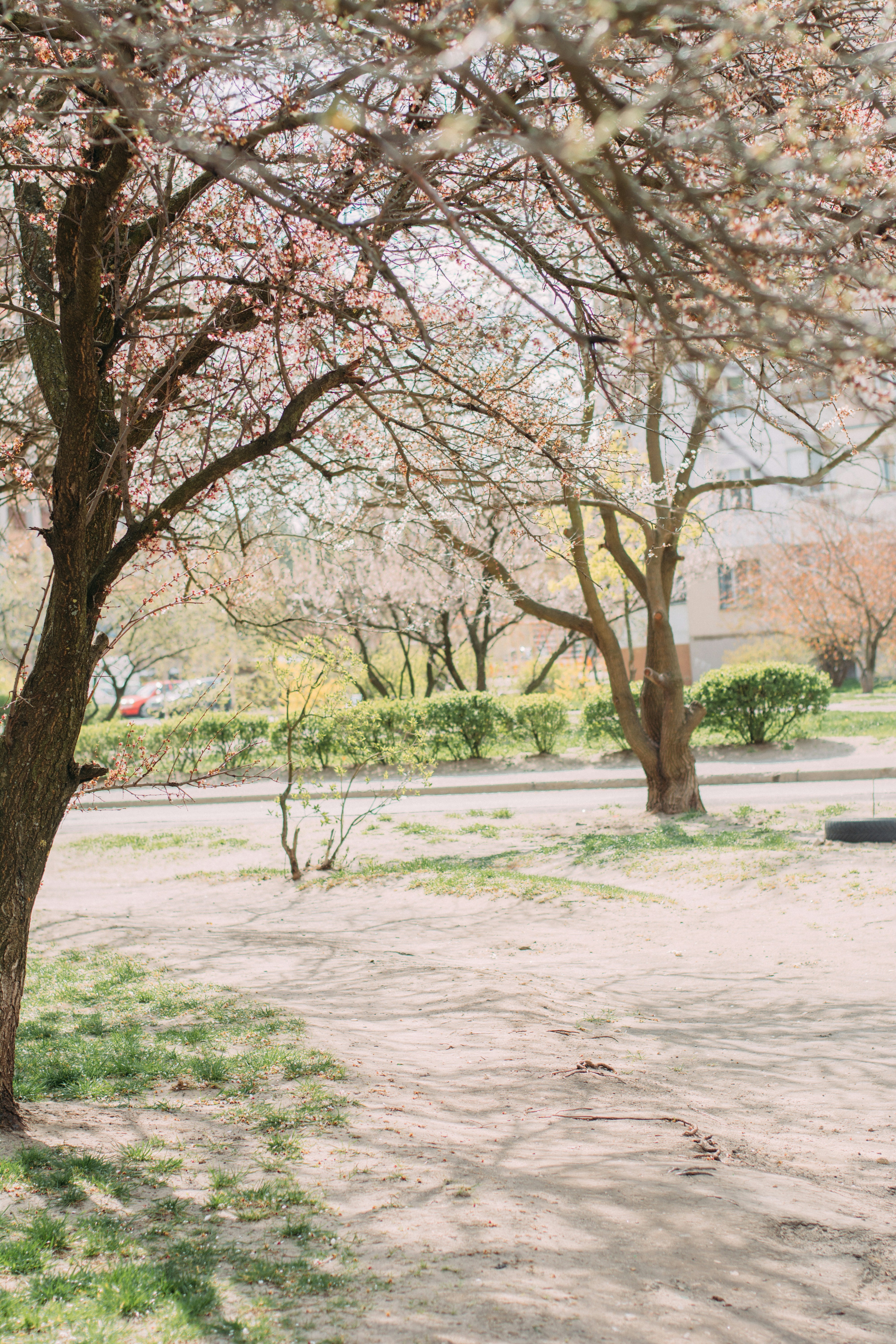 Photo by eugenivy_now