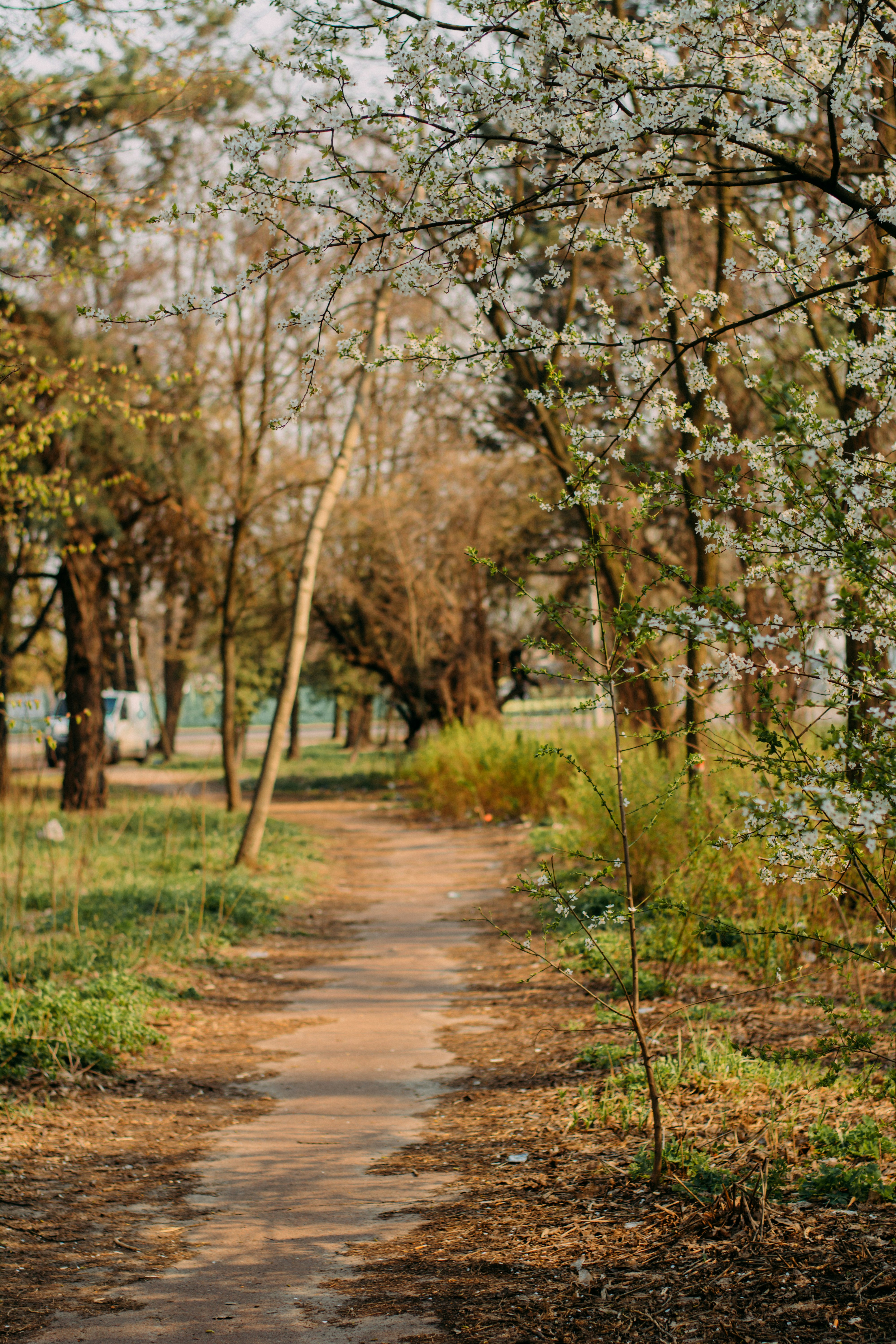 Photo by eugenivy_now