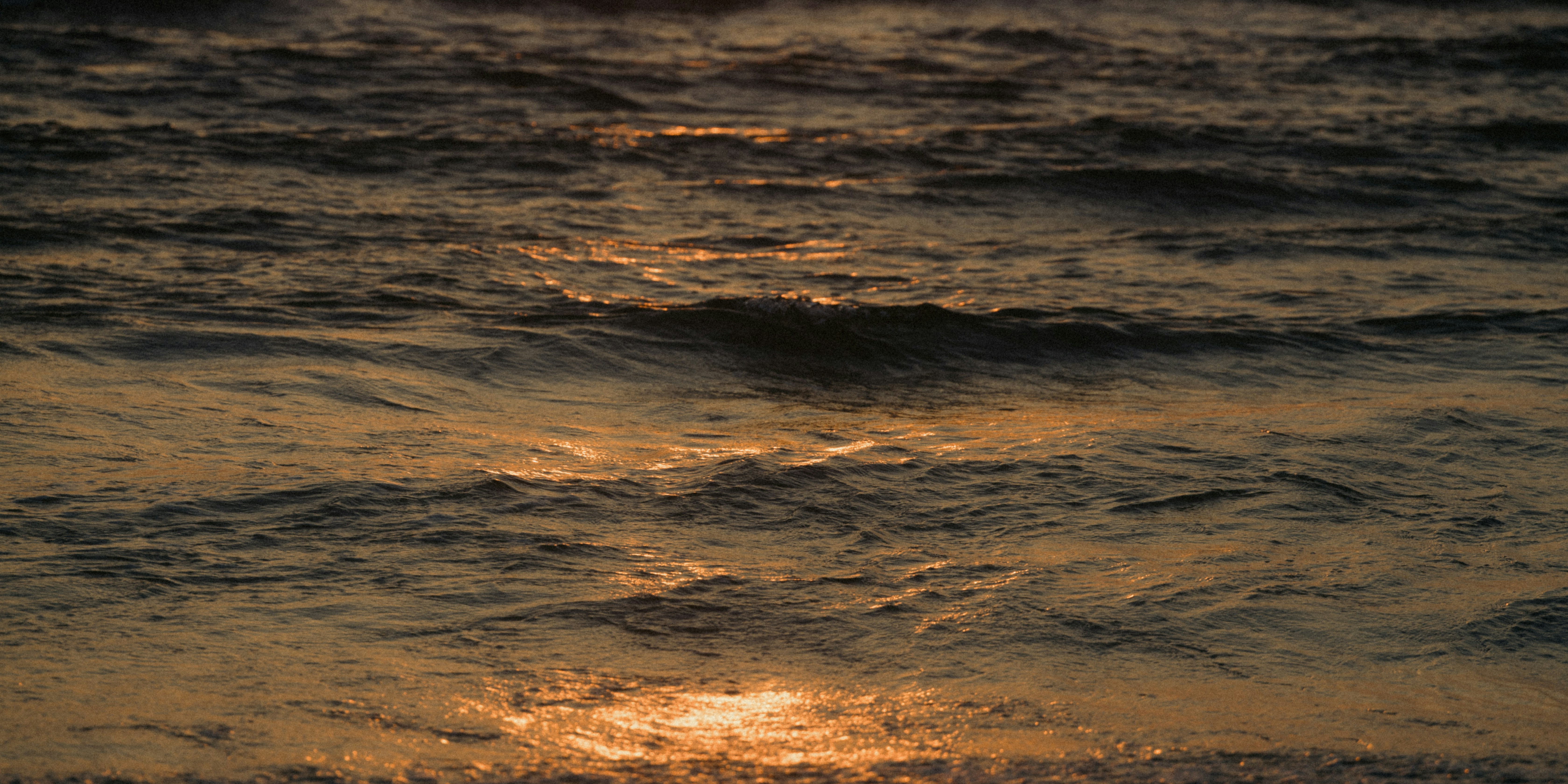 Photo by howardbouchevereau