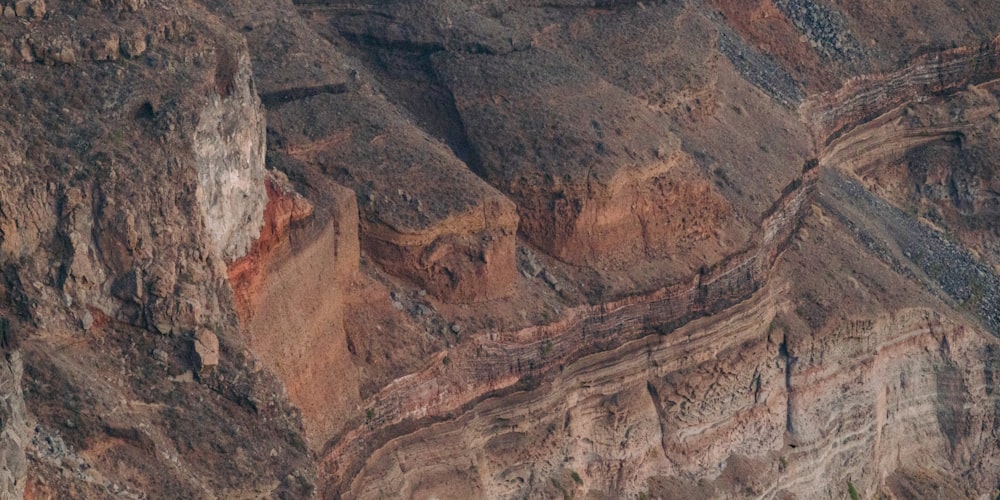 a mountain side with a bird flying over it