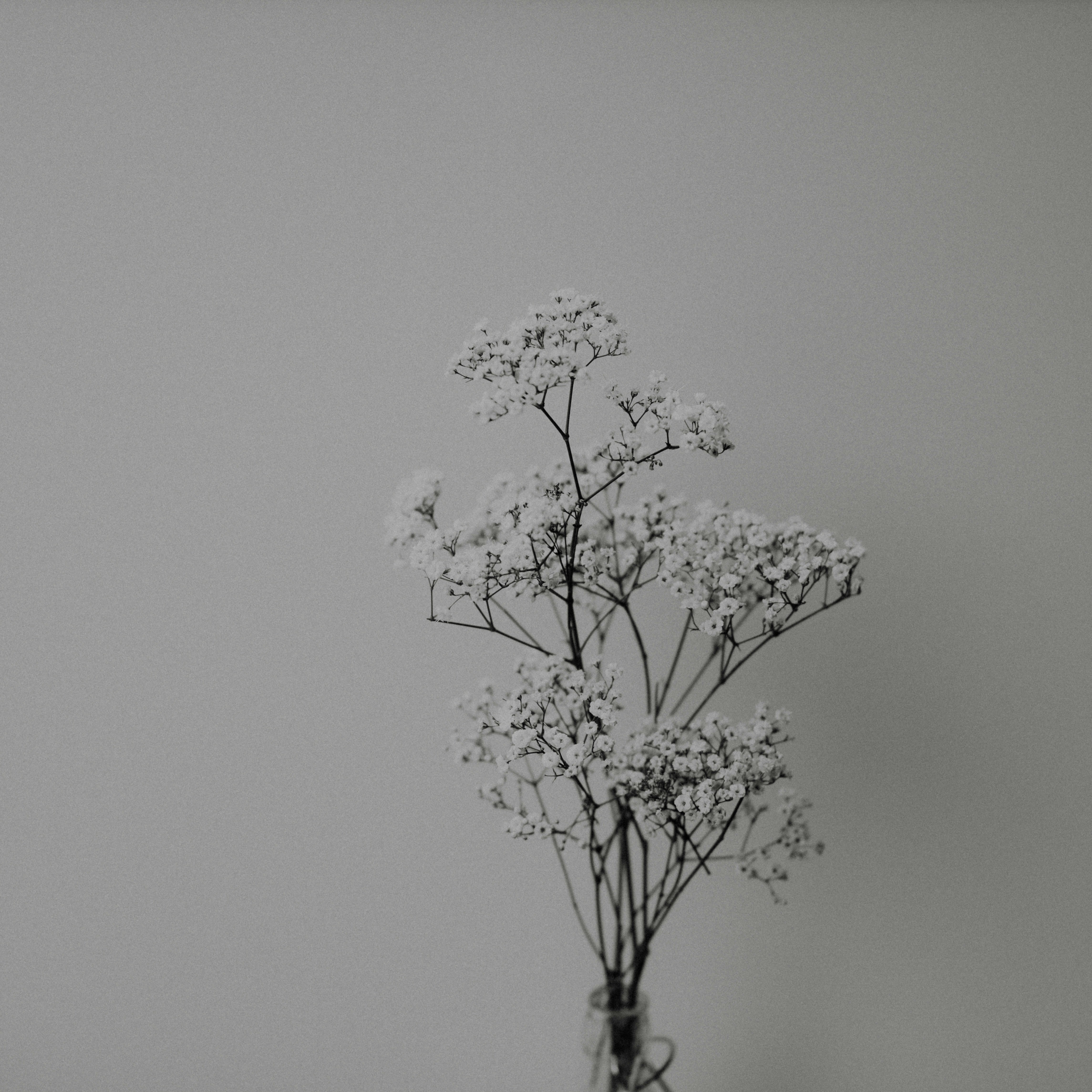 Photo by anniespratt