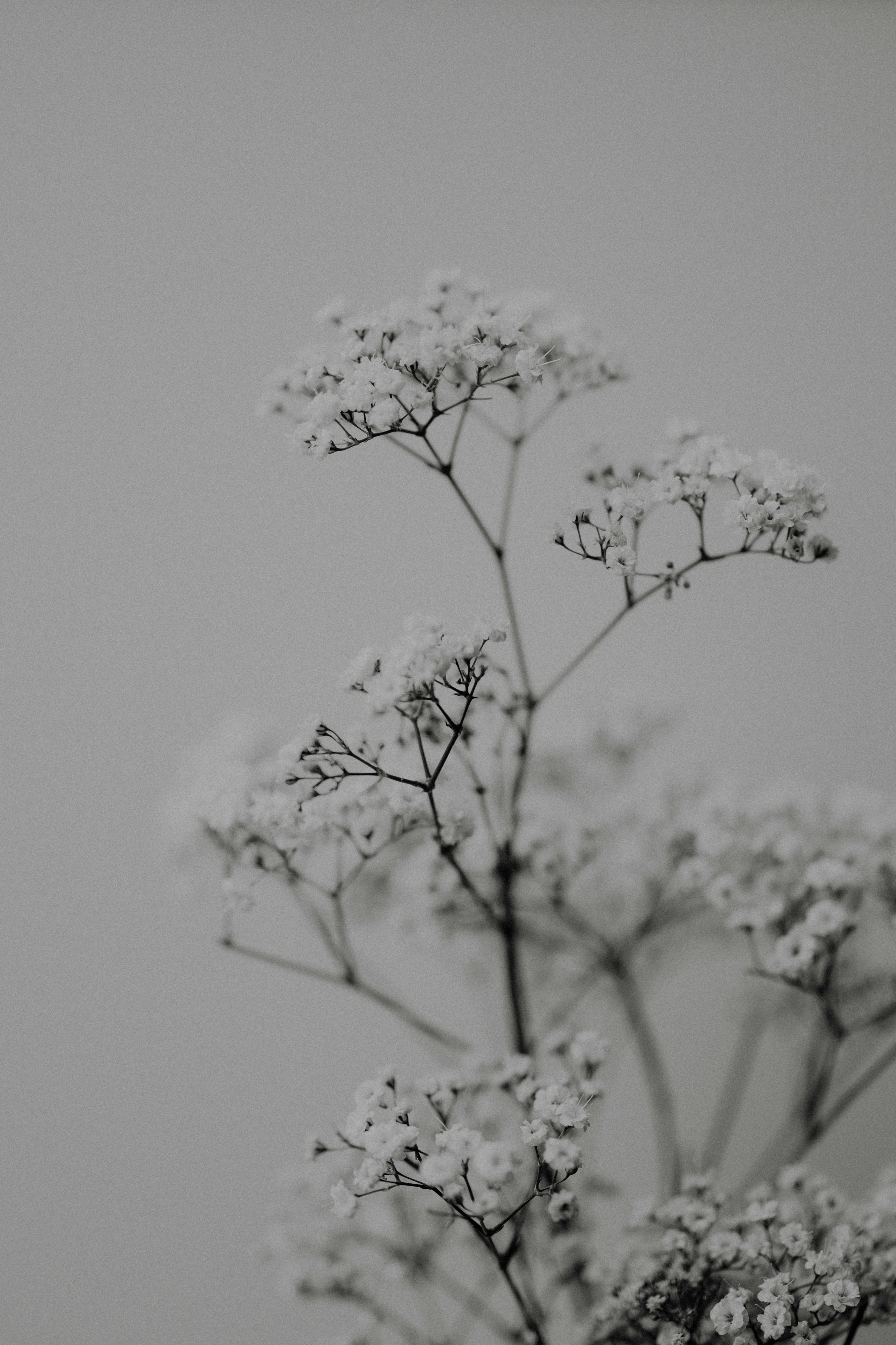 Photo by anniespratt