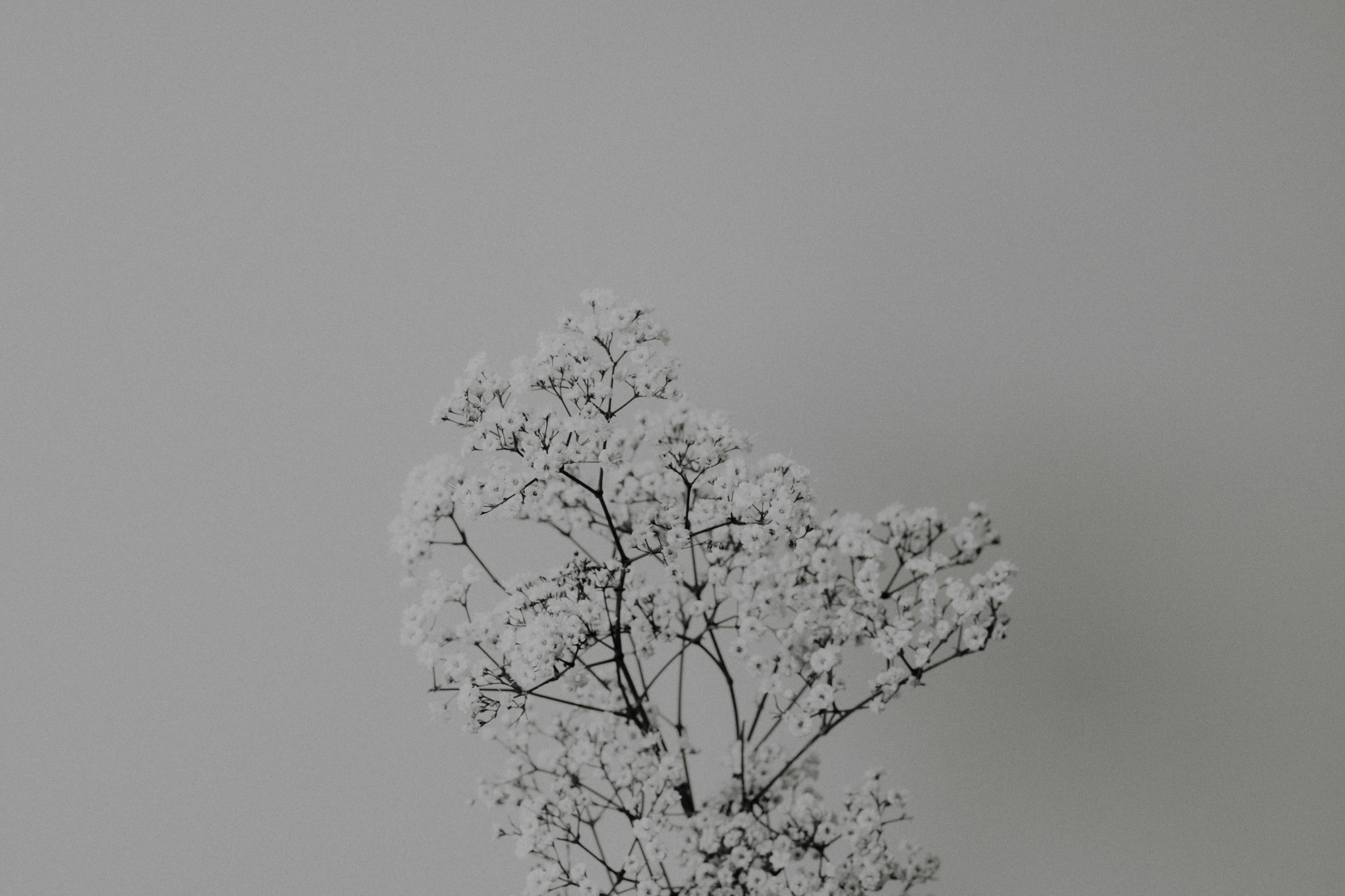 人像攝影背景布怎麼選？白棚、灰棚、彩色背景使用指南與實戰解析：實際怎麼做：選擇與佈置背景布的四大步驟