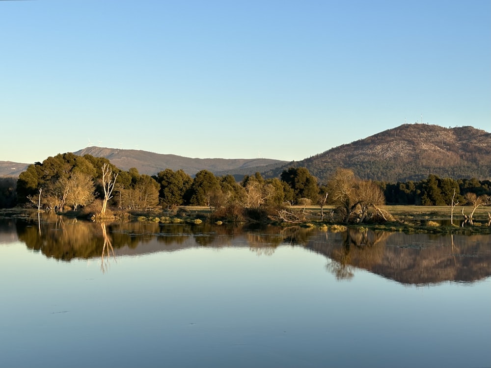 a body of water surrounded by trees and mountains