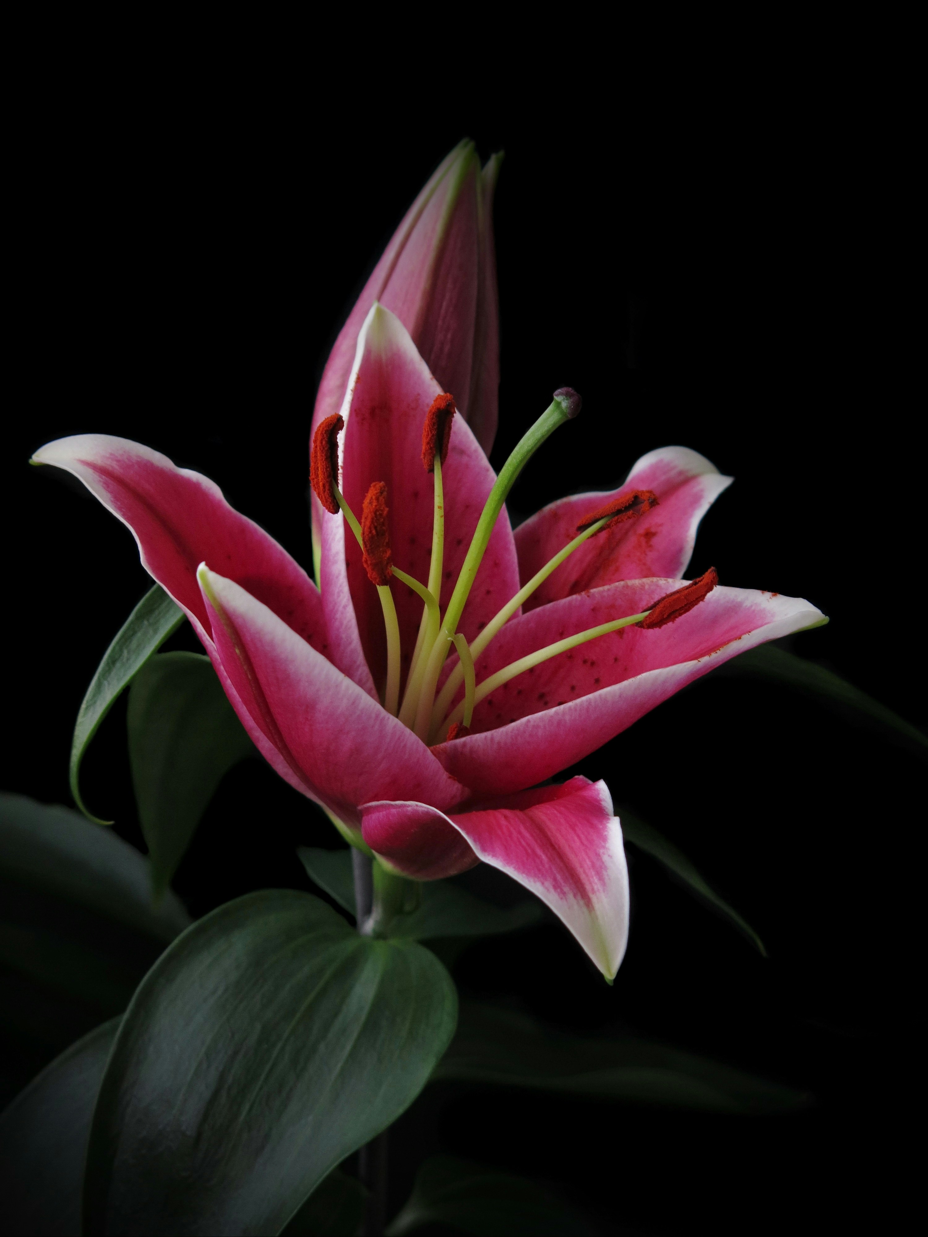 Photo by radfotosonn