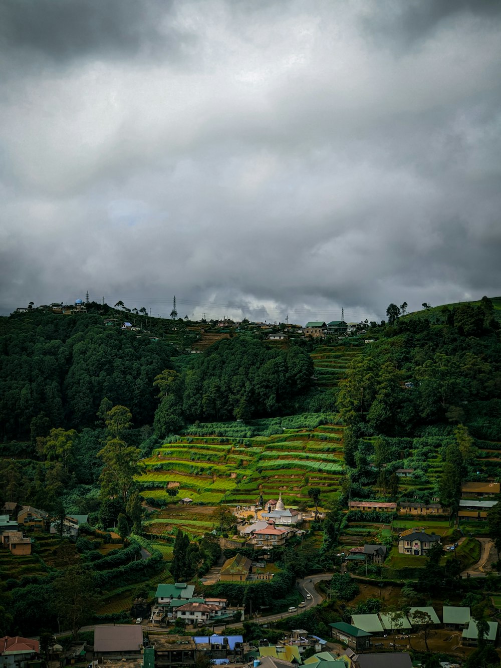 a lush green hillside covered in lots of trees