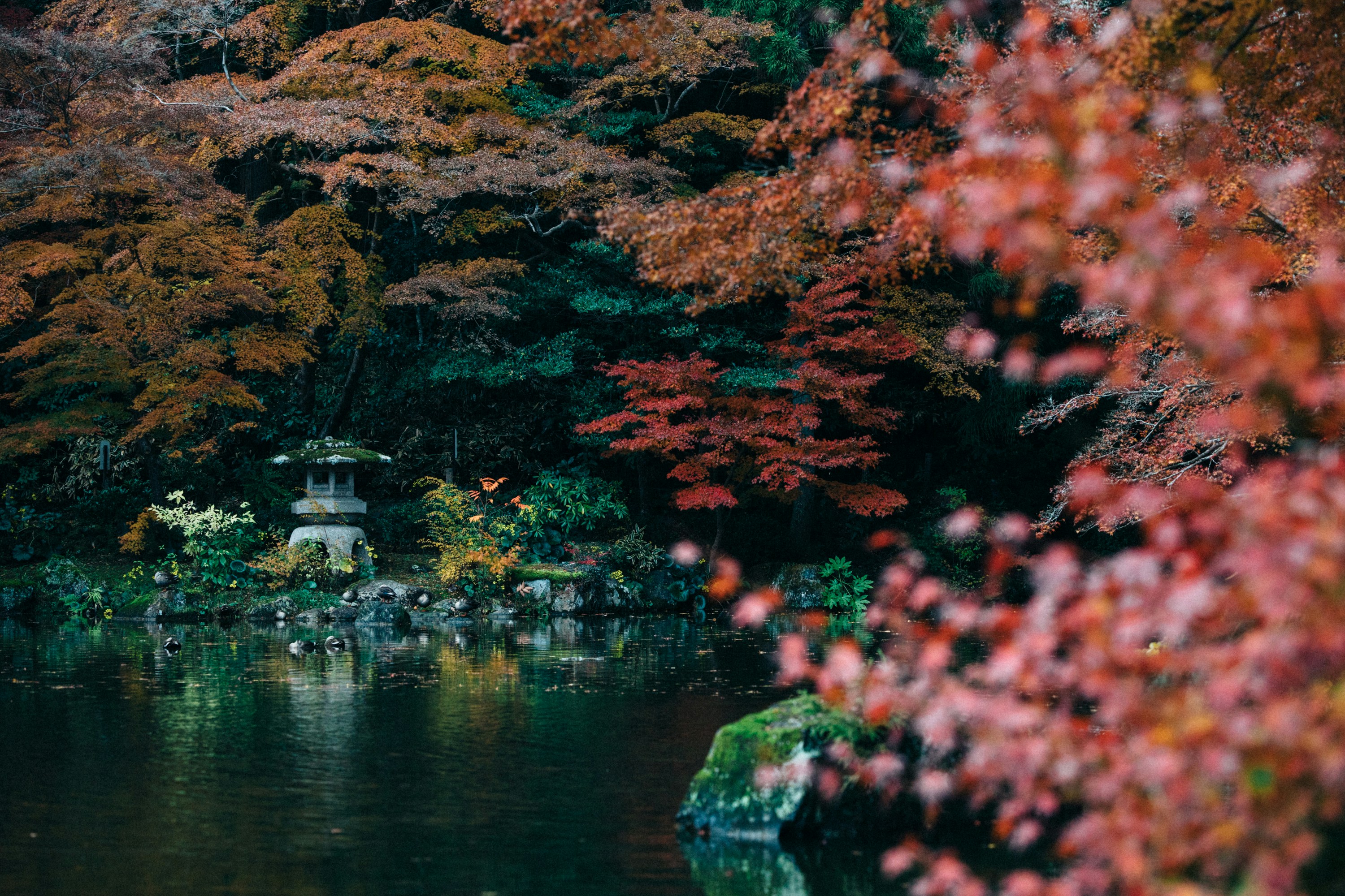 Photo by tsuyoshikozu