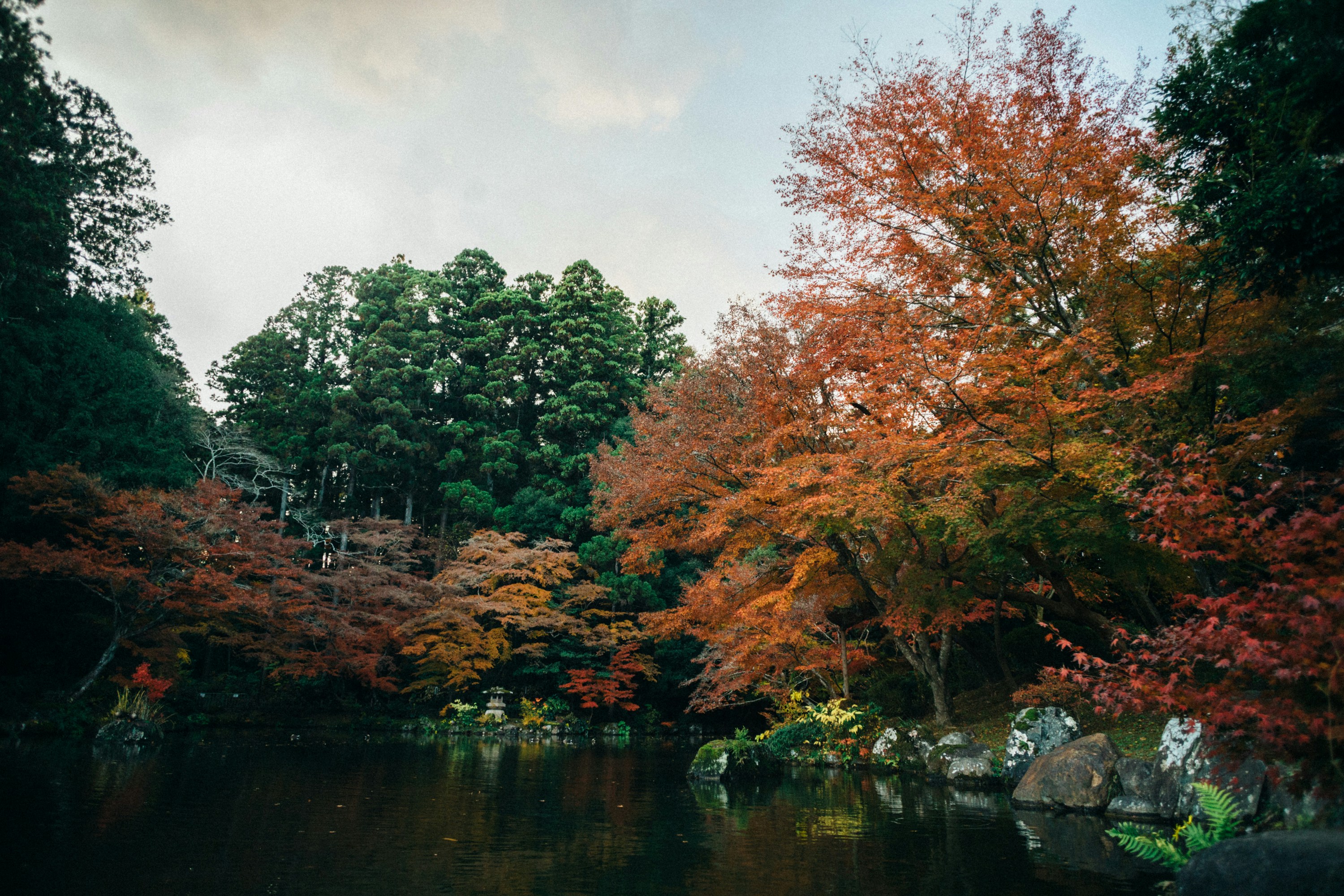 Photo by tsuyoshikozu