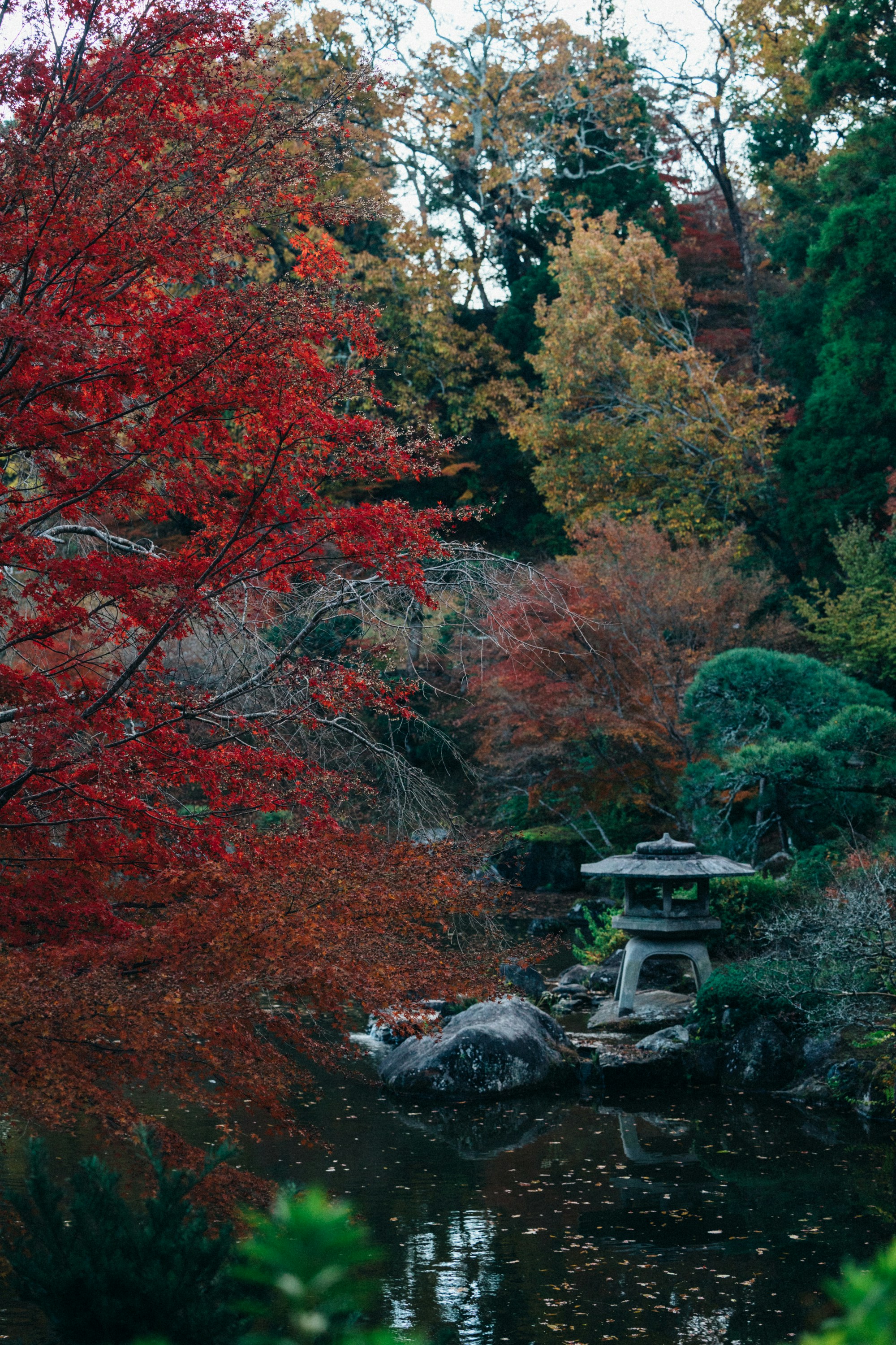 Photo by tsuyoshikozu