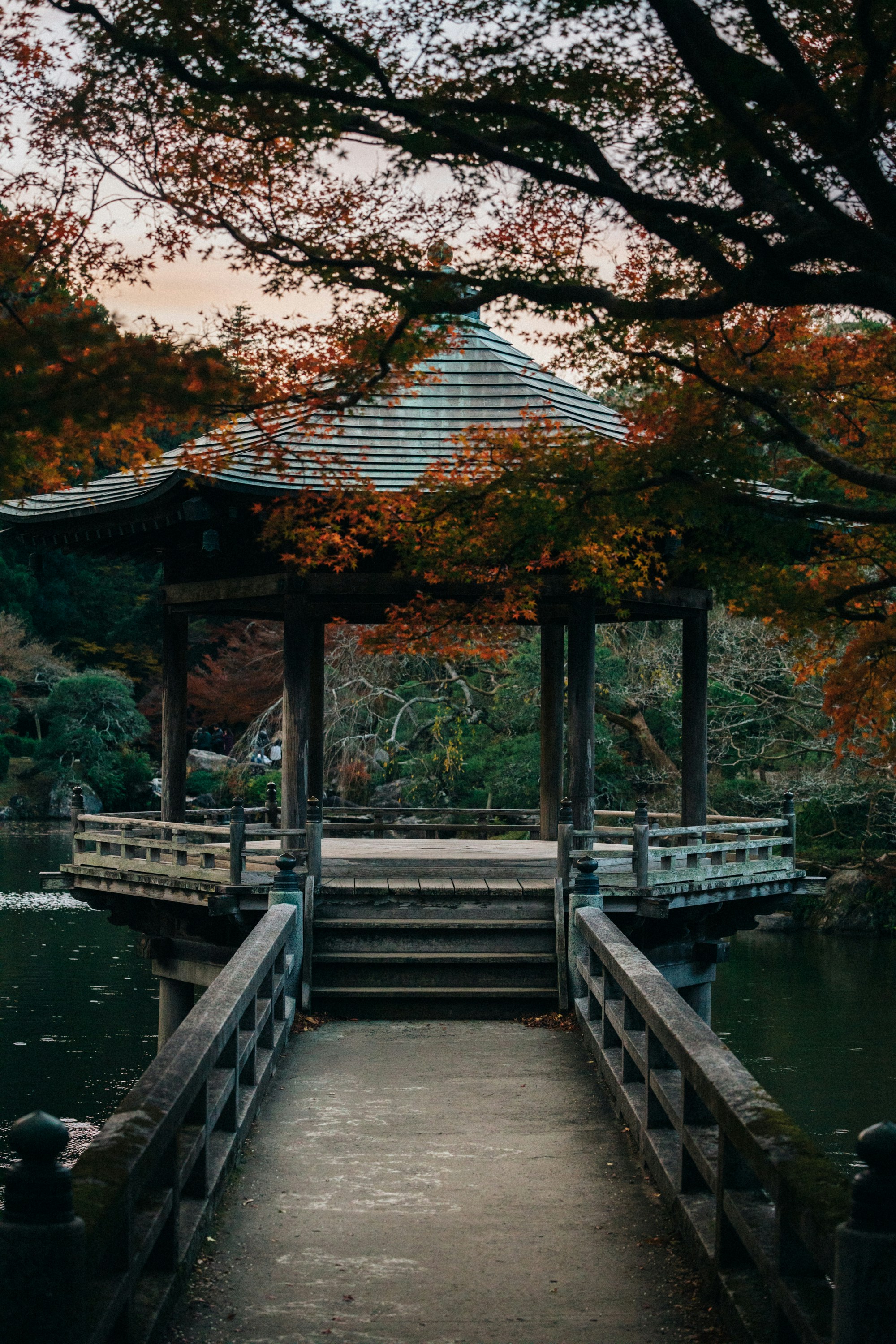 Photo by tsuyoshikozu