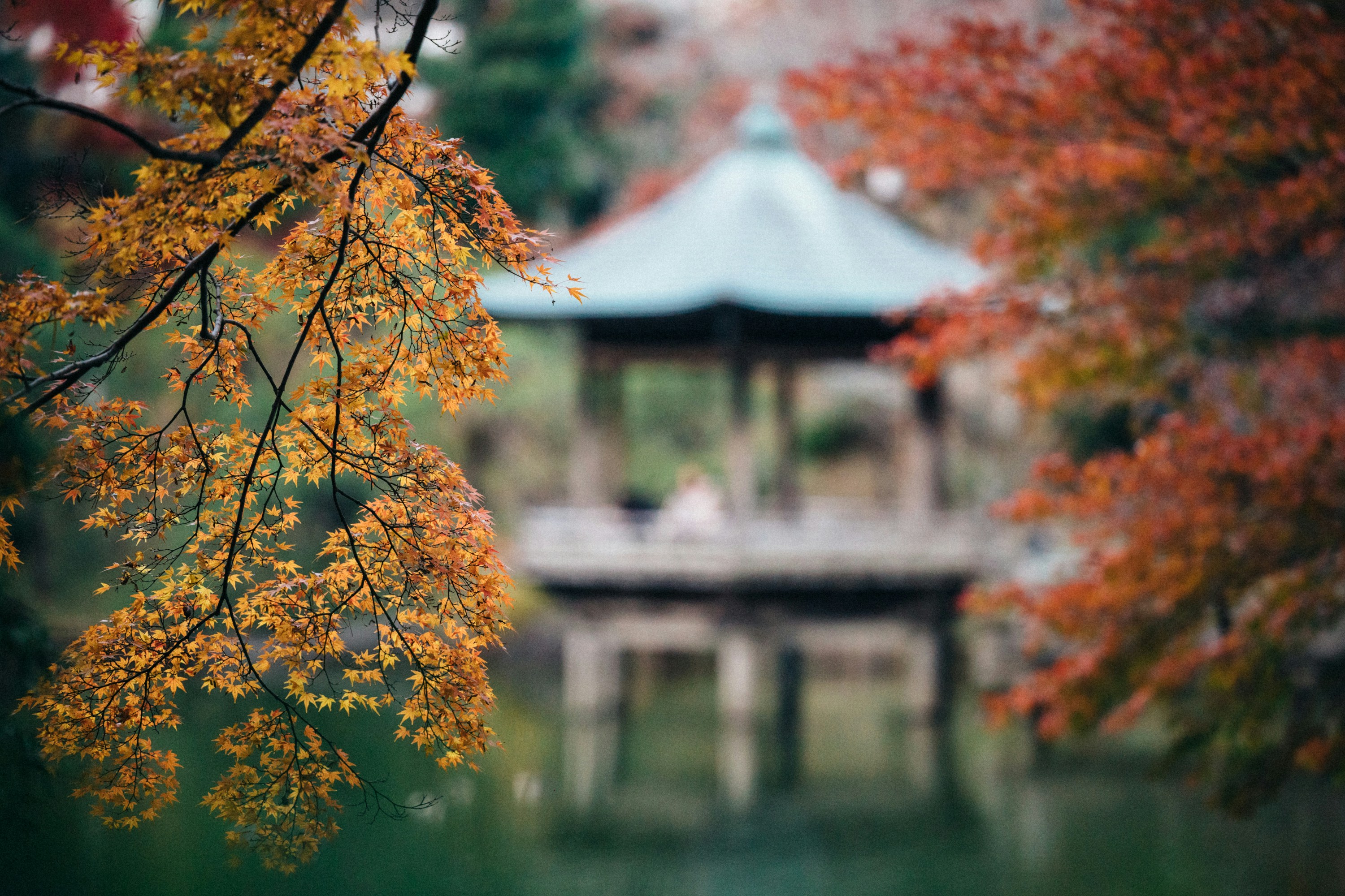 Photo by tsuyoshikozu