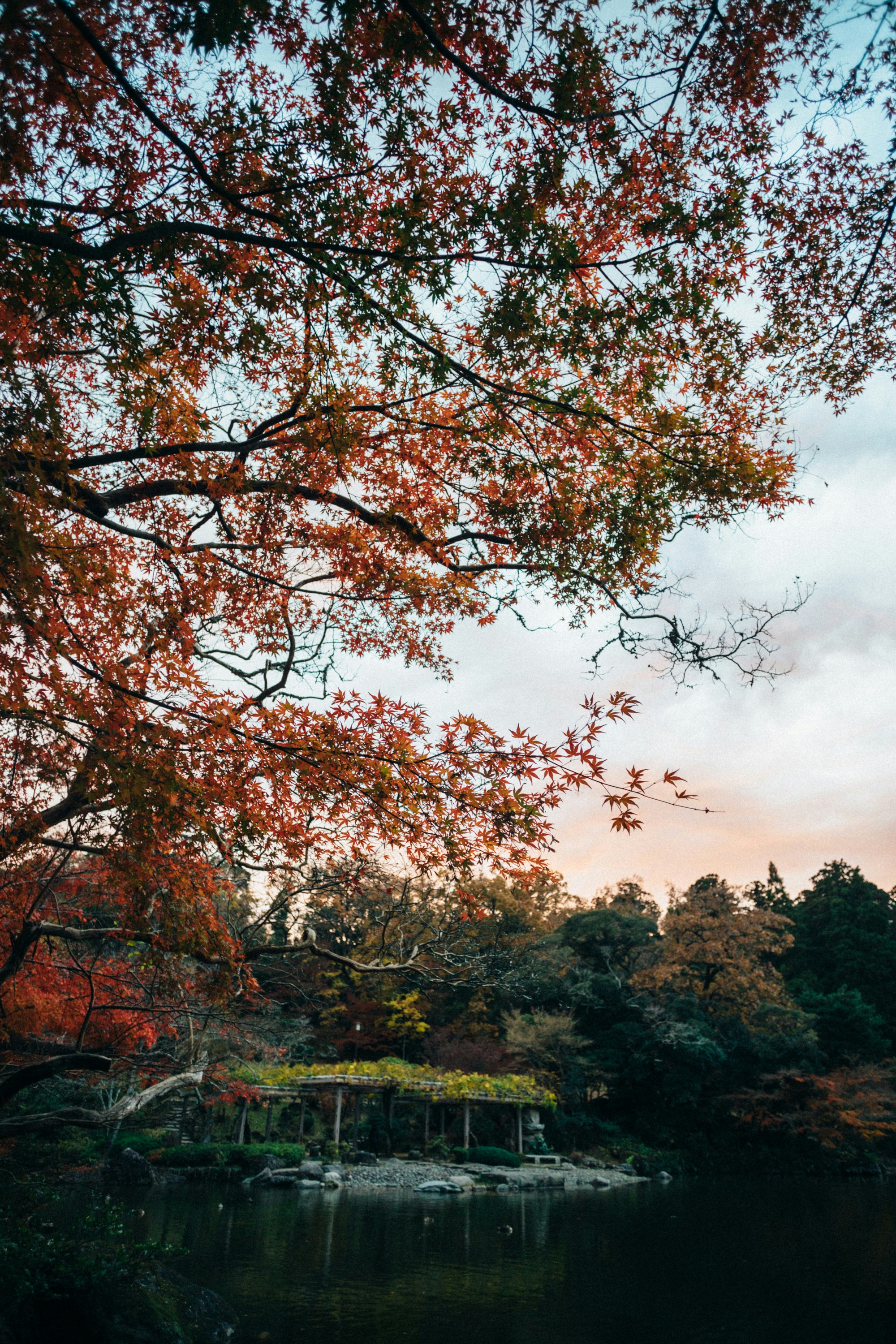 Photo by tsuyoshikozu