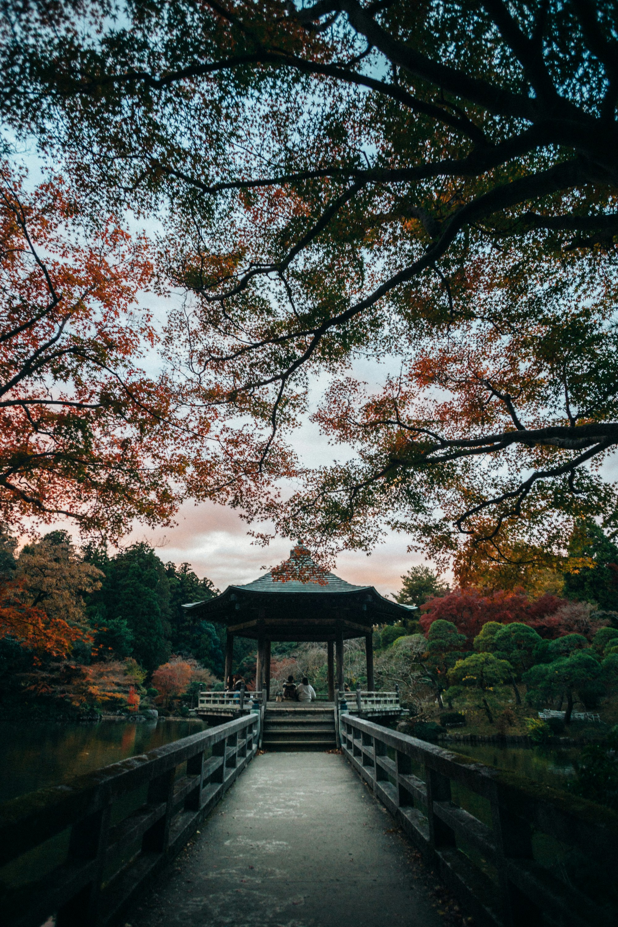 Photo by tsuyoshikozu