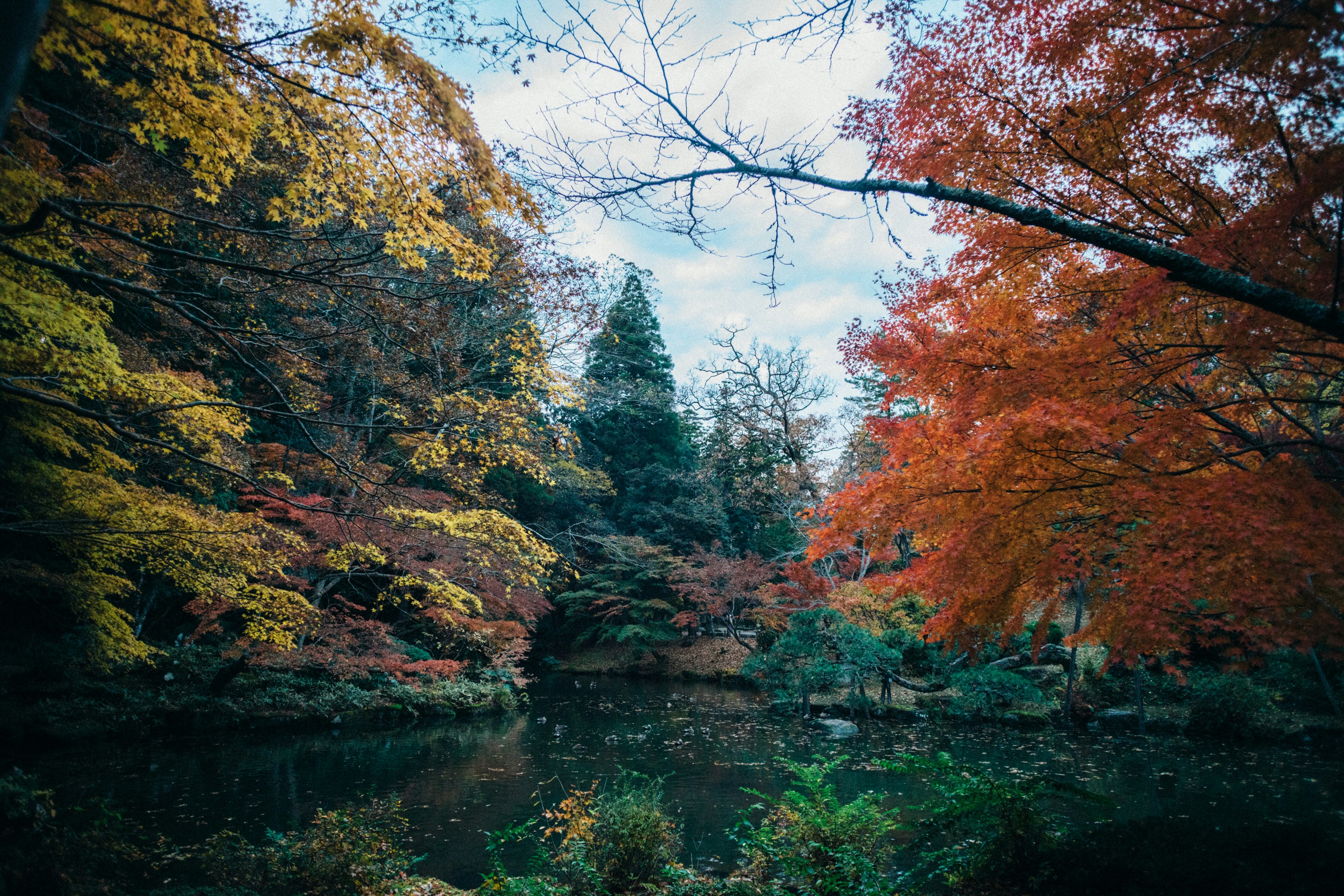 Photo by tsuyoshikozu