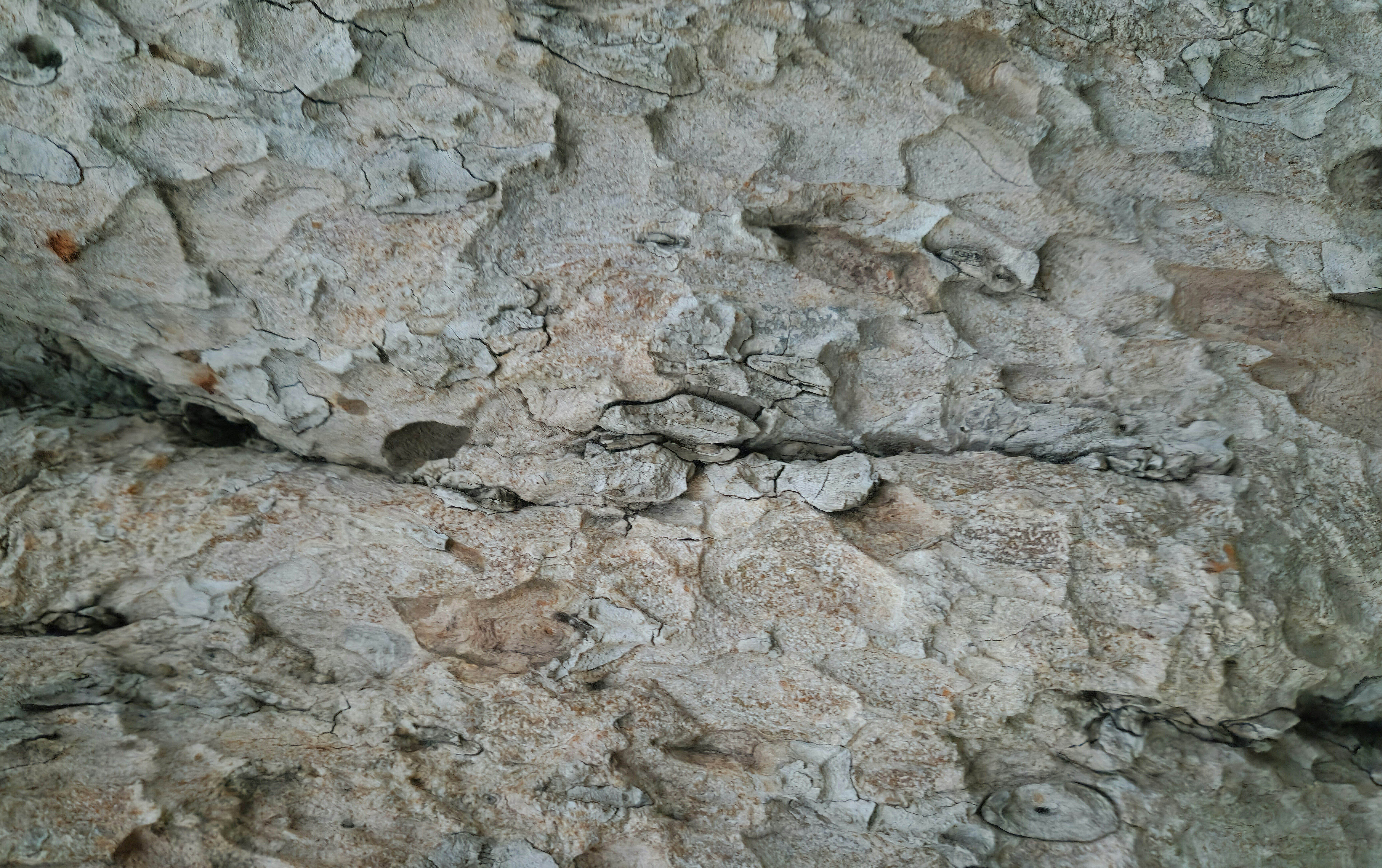 Photo by zoshuacolah