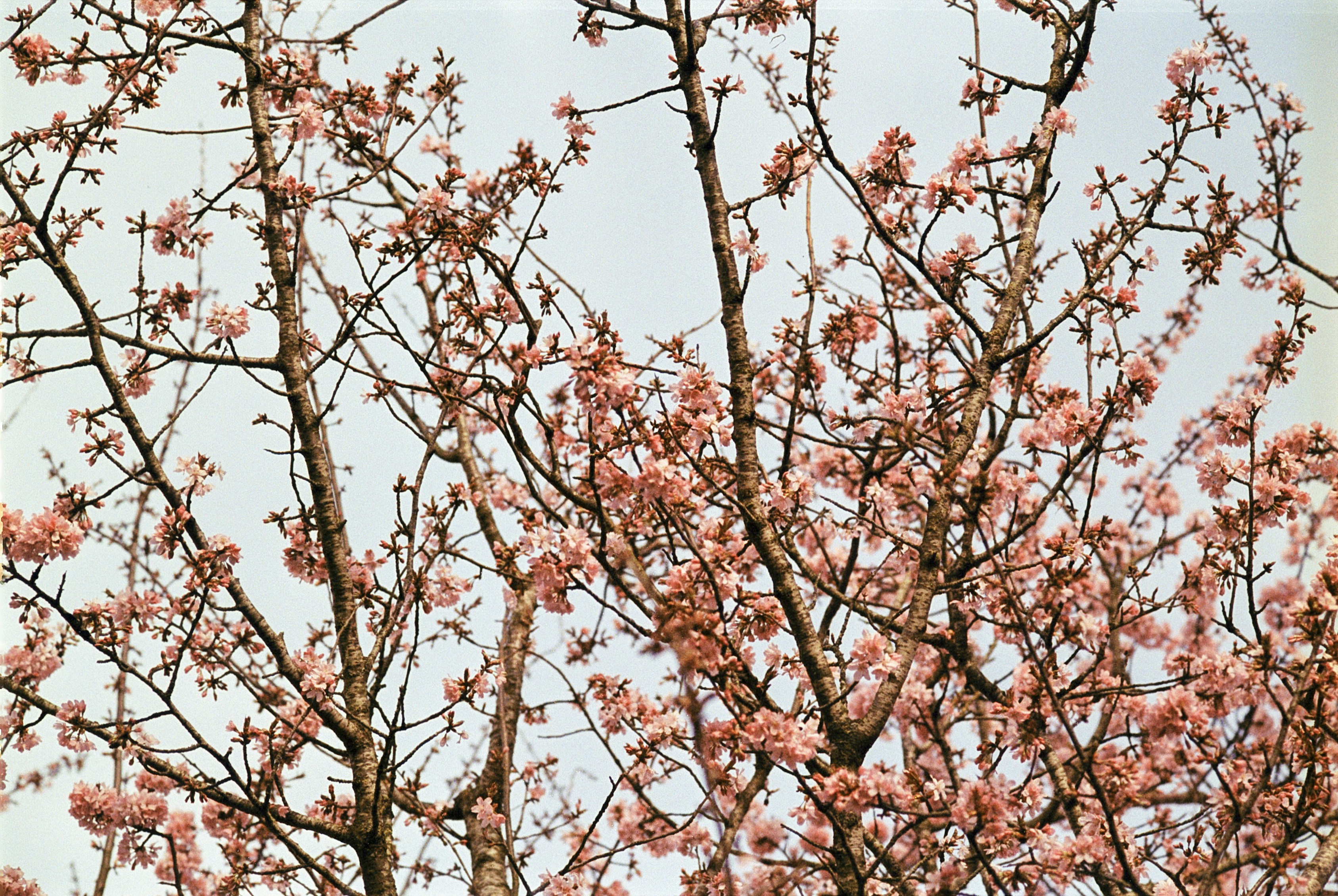 Photo by artistseyes