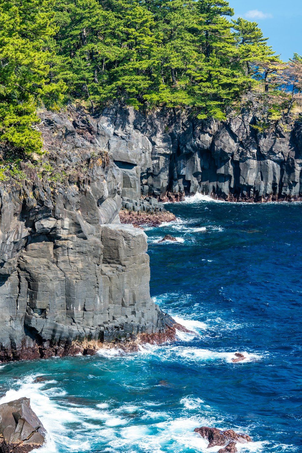 Una vista dell'oceano da una scogliera rocciosa