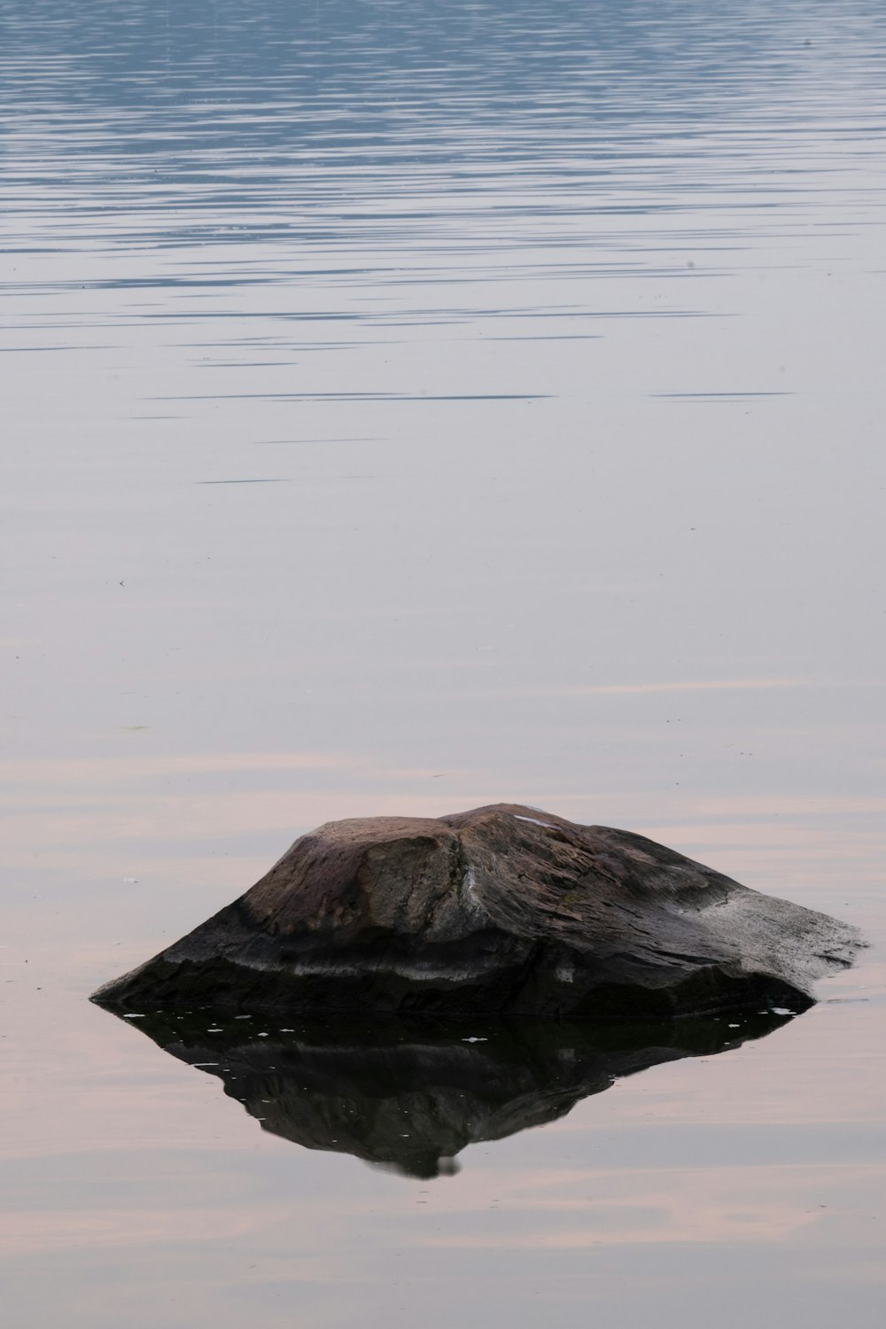 a rock in the middle of a body of water