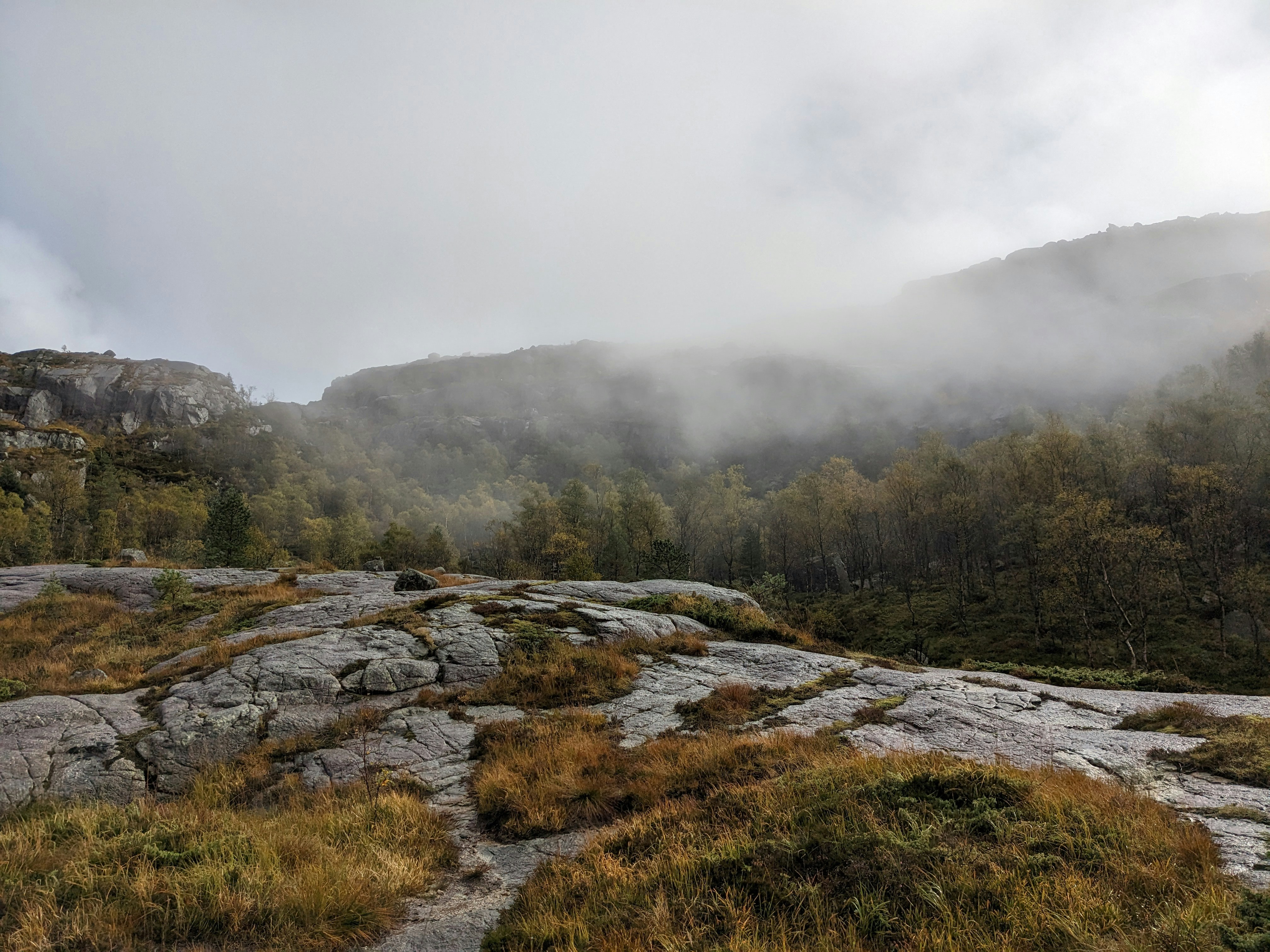 a foggy mountain landscape with trees and rocks, 