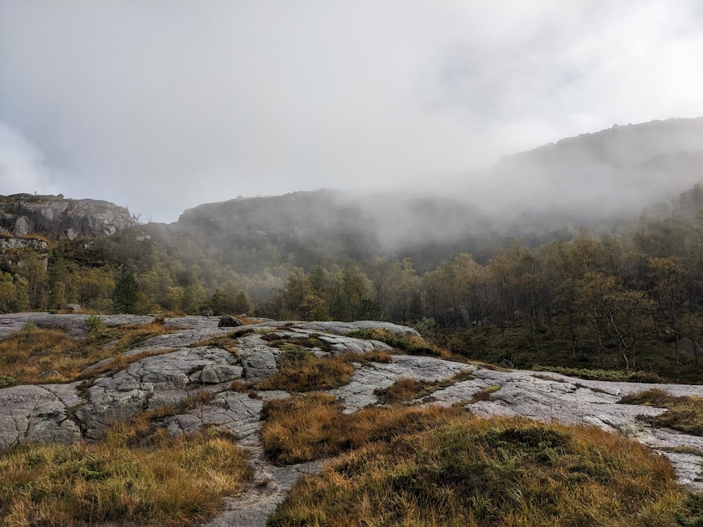 a foggy mountain landscape with trees and rocks