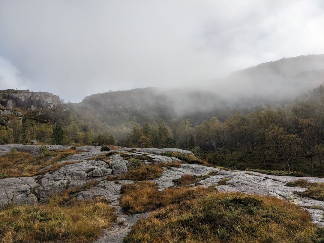 a foggy mountain landscape with trees and rocks,
