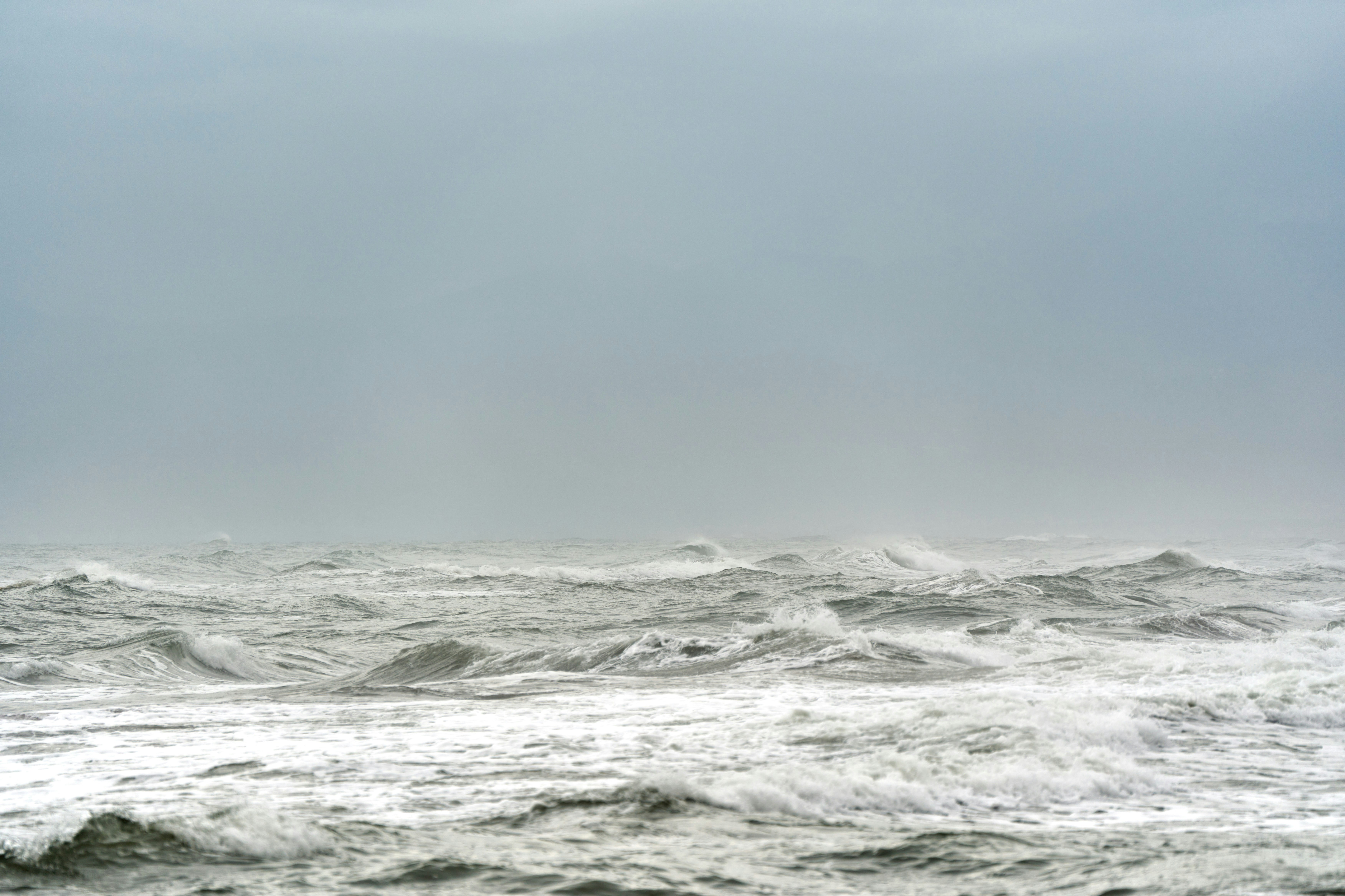 Photo by wolfgang_hasselmann