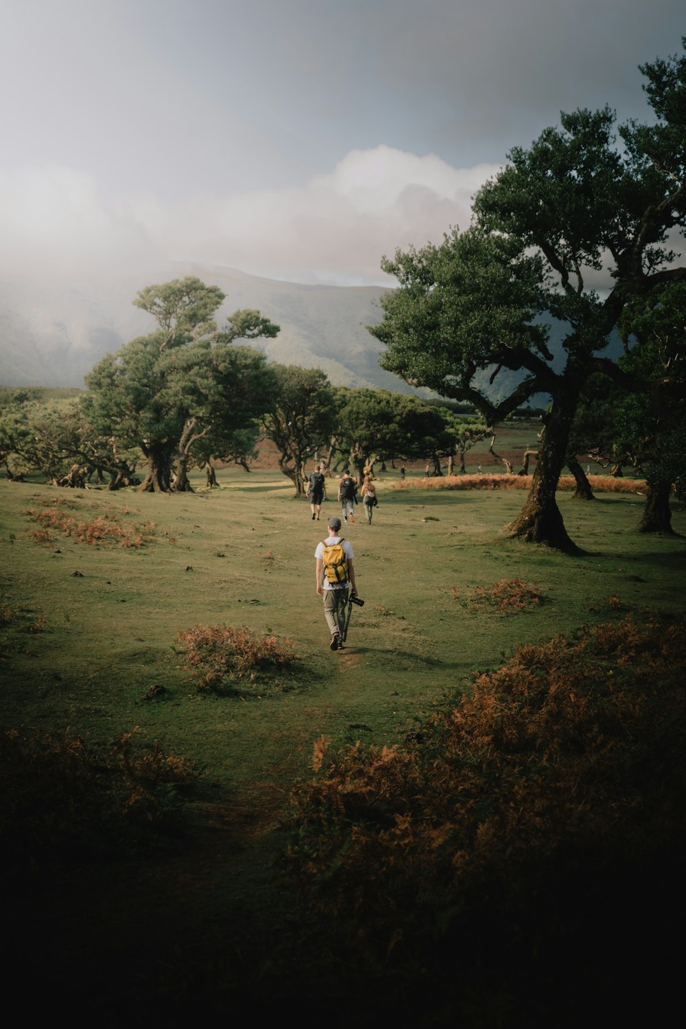 a man riding a bike down a lush green field