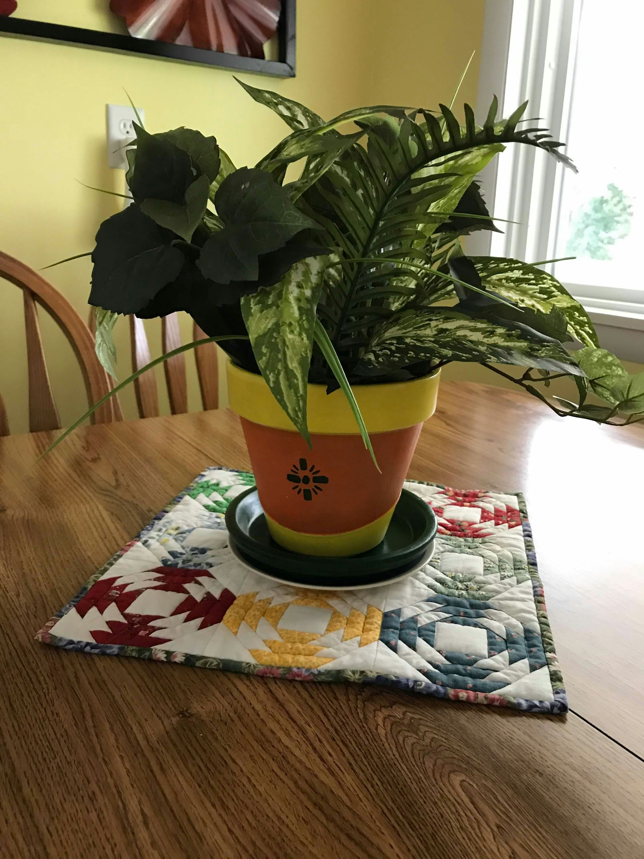 una pianta in vaso seduta sopra un tavolo di legno