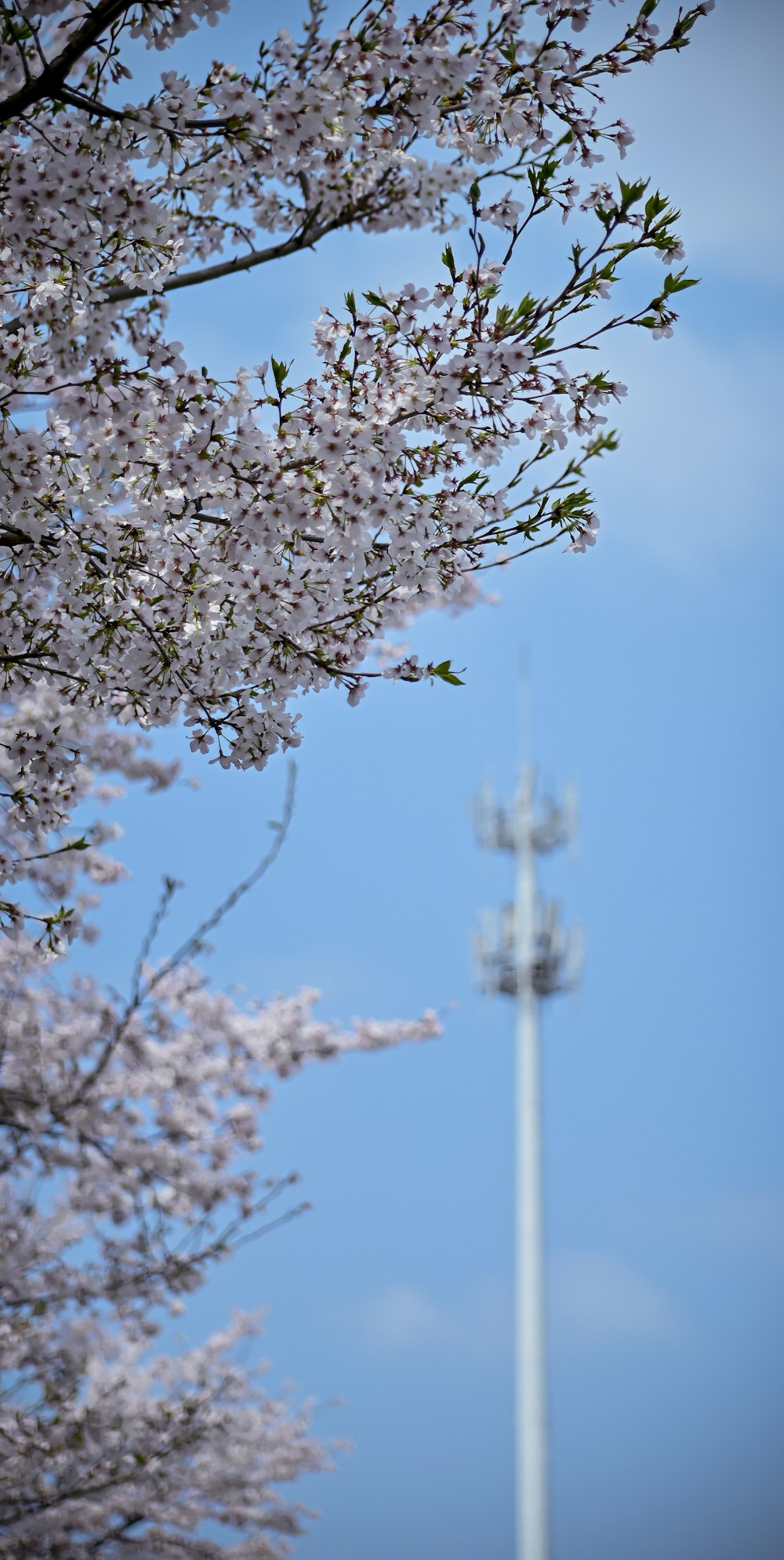 a tall tower with a clock on the top of it