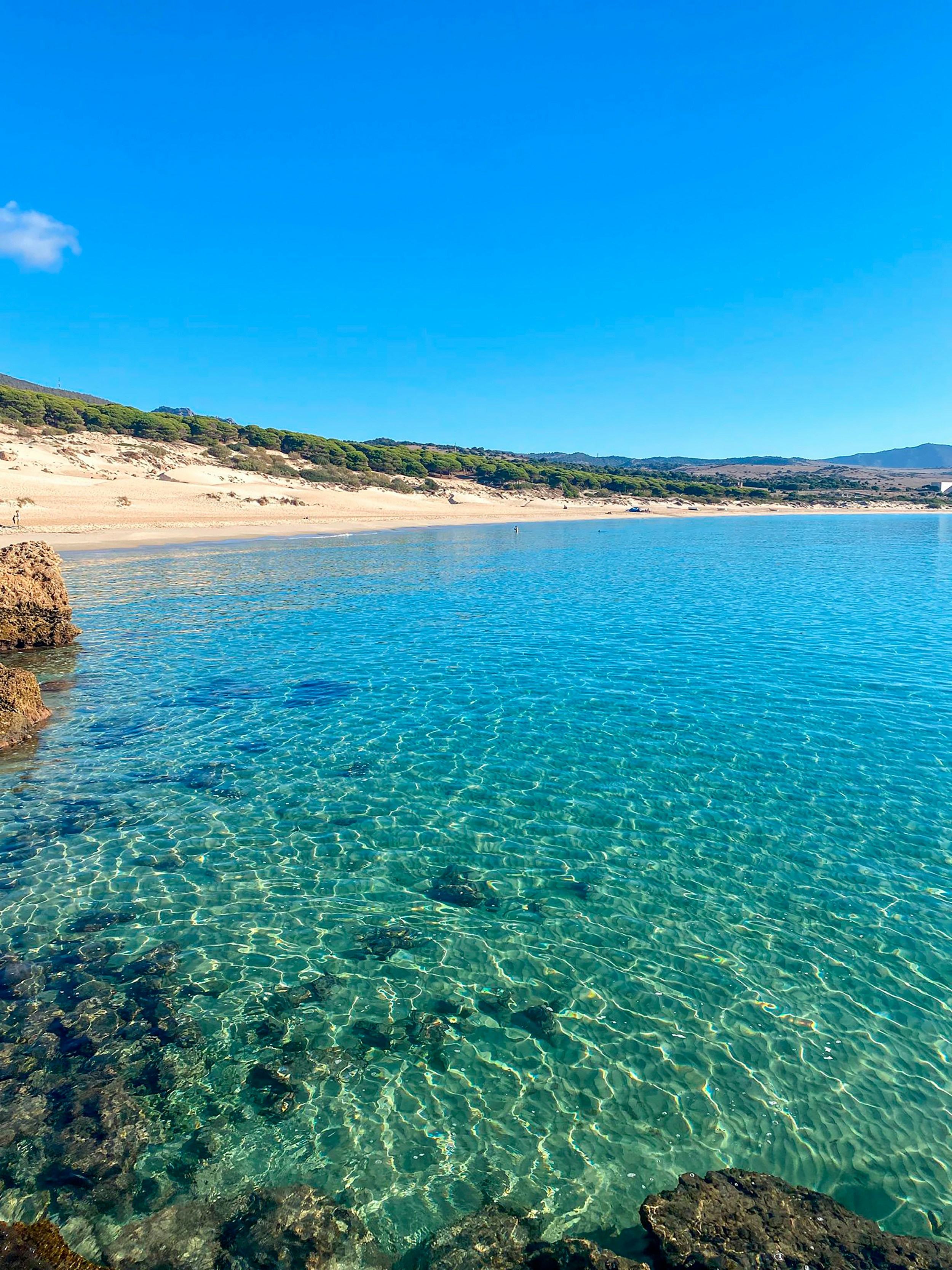 Photo by javierduran