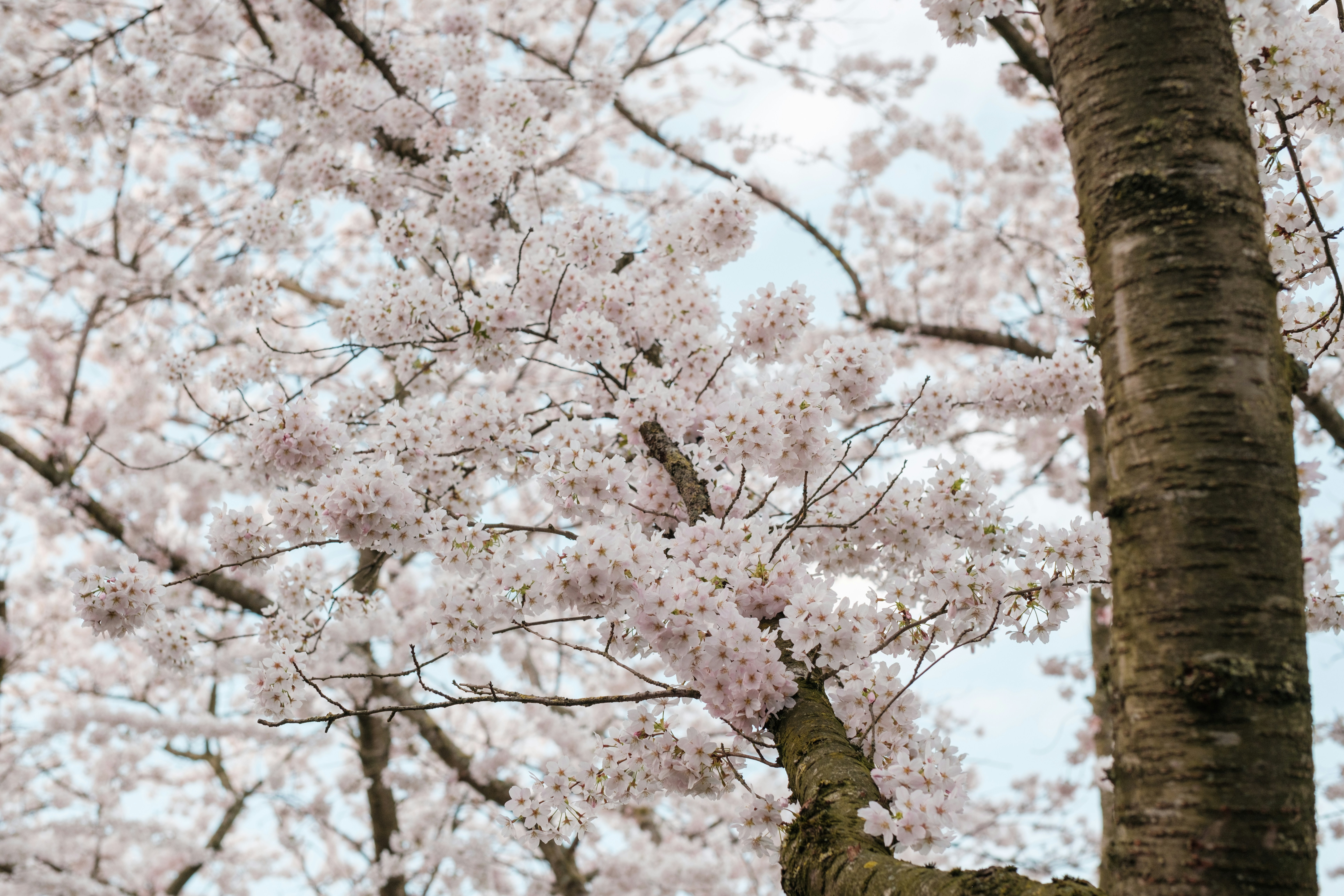 Photo by haberdoedas2