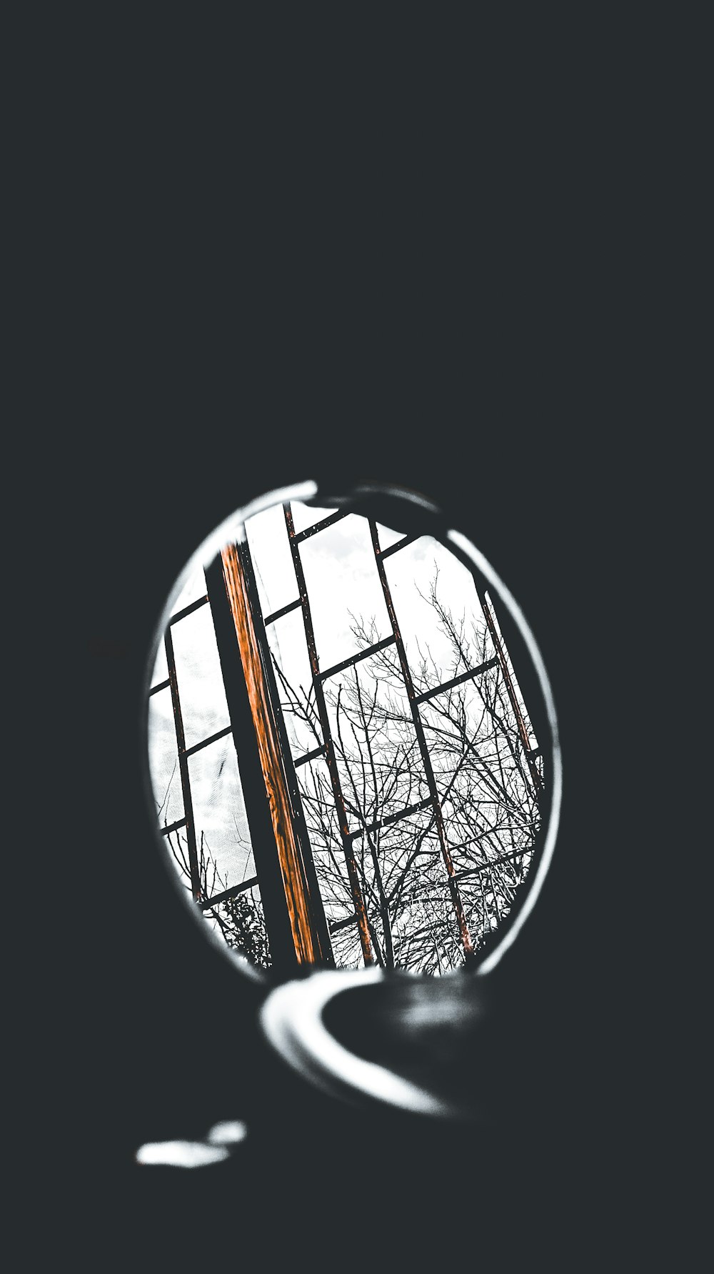 a mirror with a reflection of trees in it