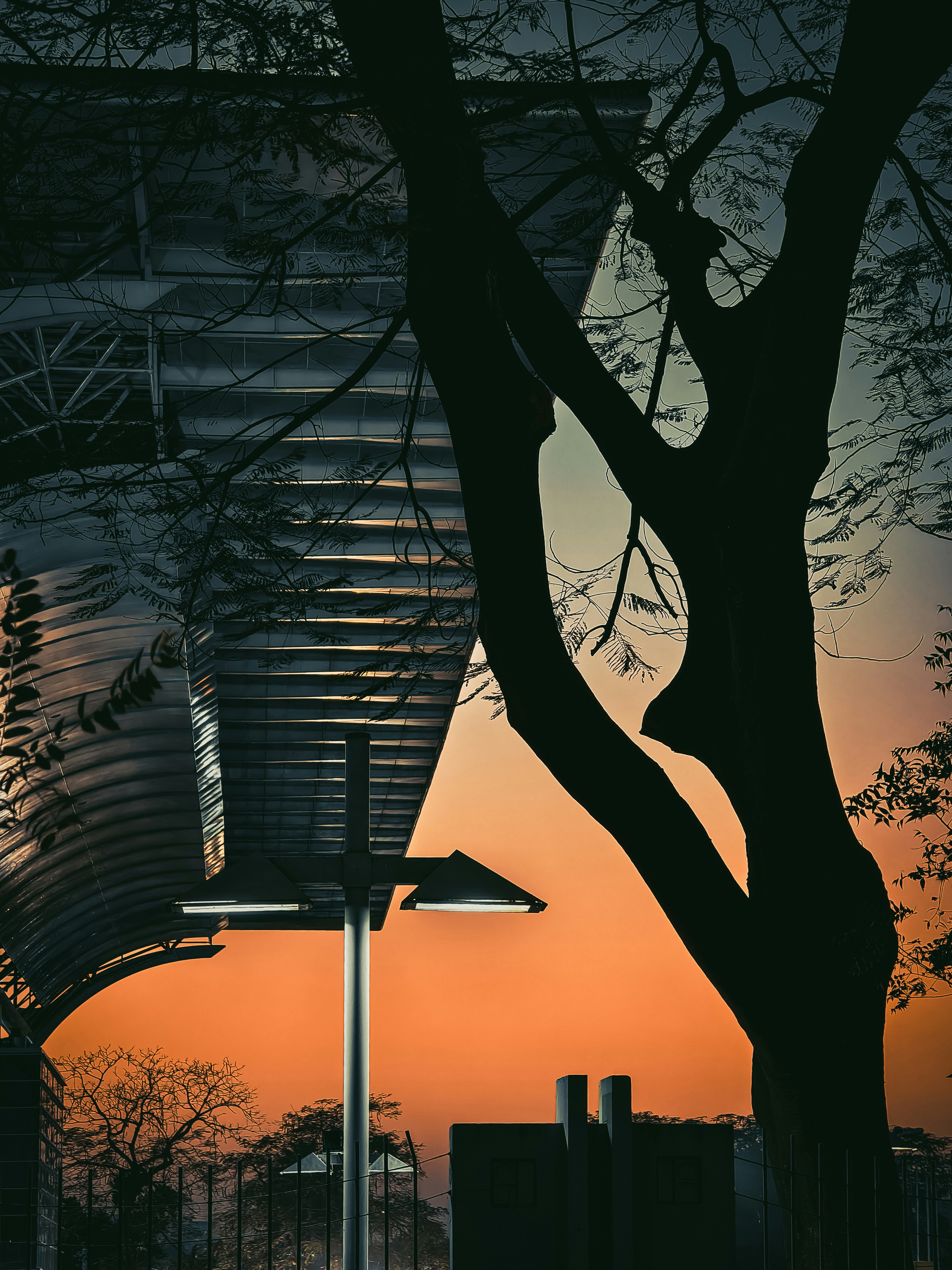 Blick auf einen Baum und ein Gebäude bei Sonnenuntergang