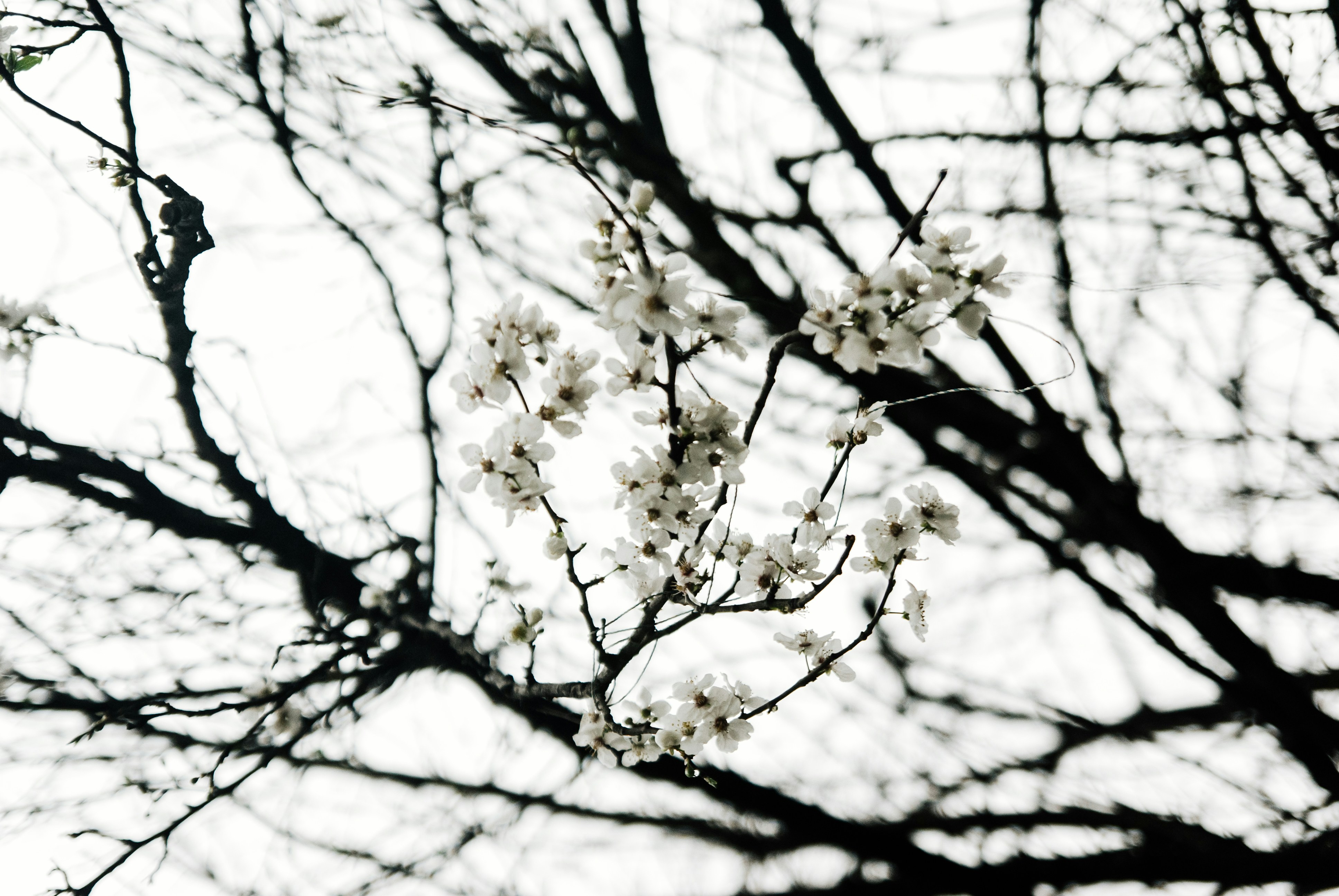 Photo by moonmoons_days