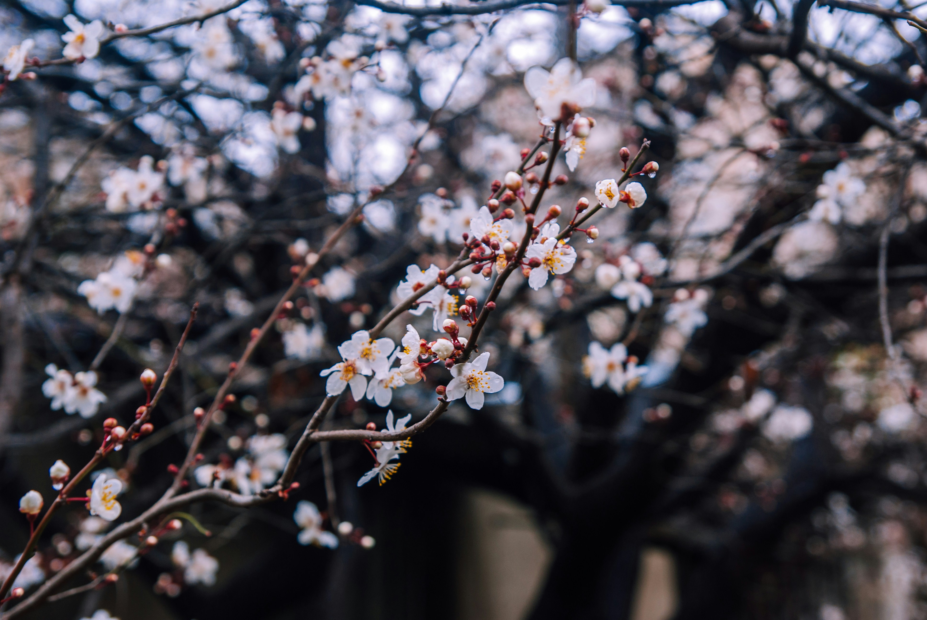 Photo by moonmoons_days