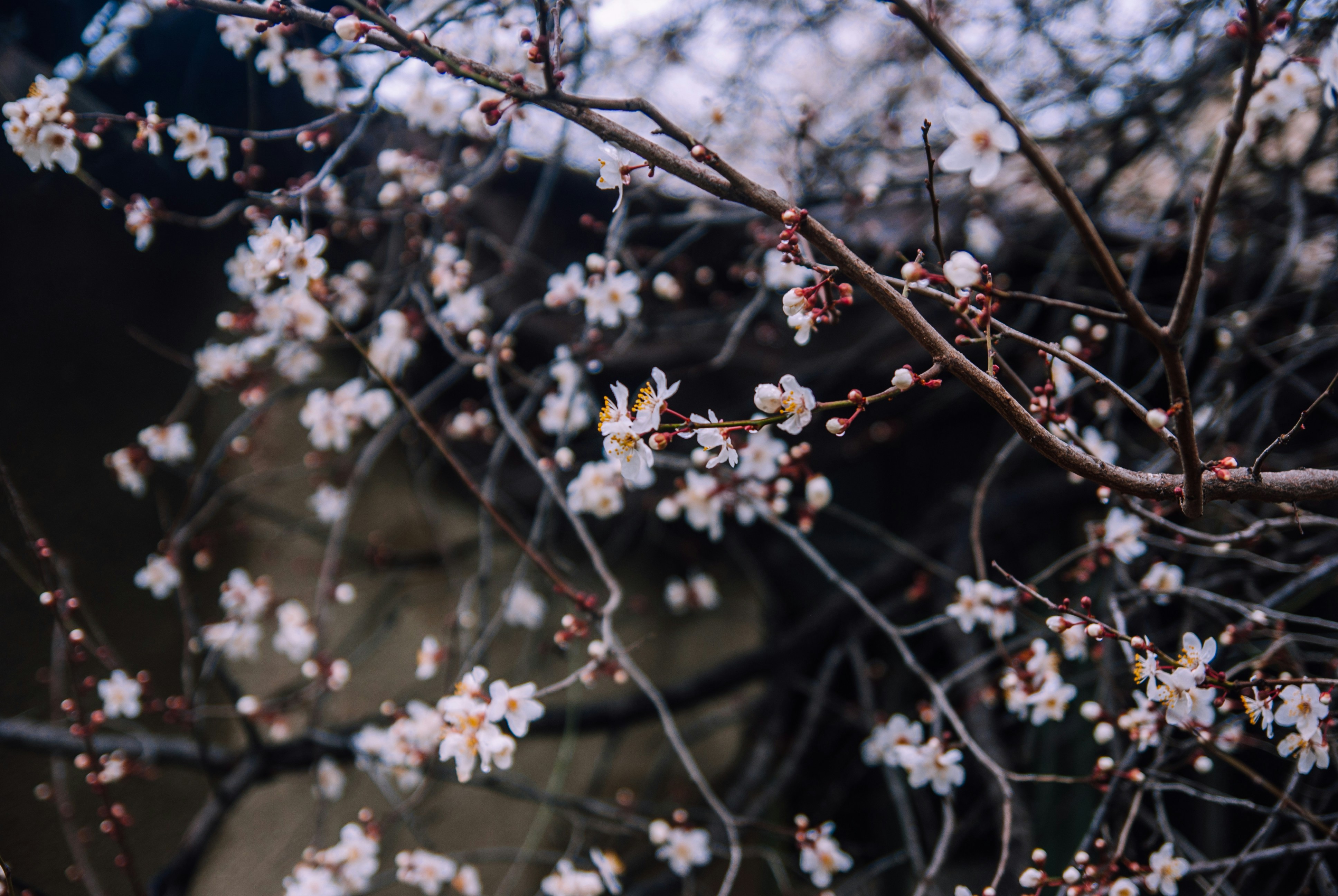 Photo by moonmoons_days