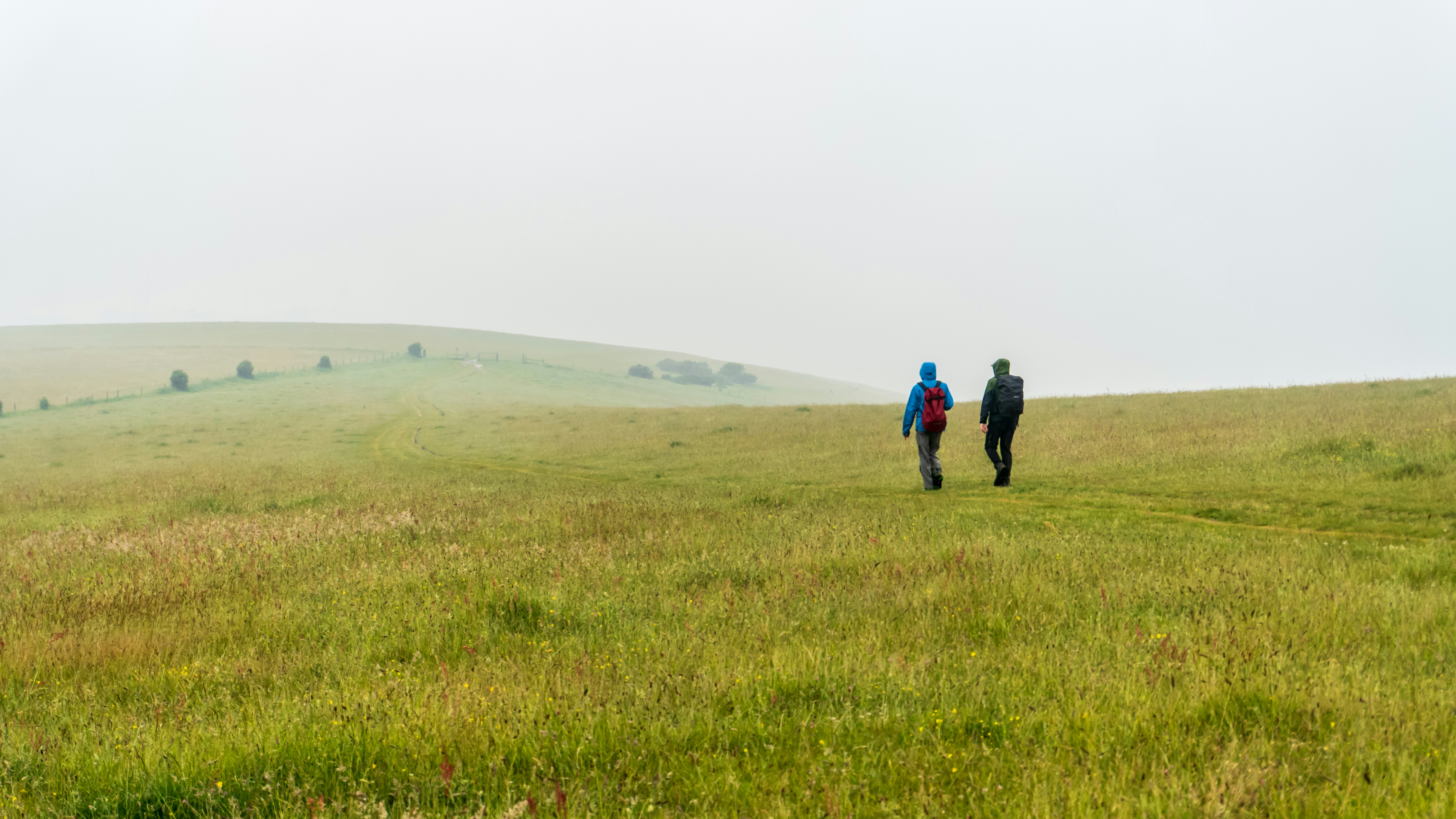 Beberapa orang berjalan melintasi lapangan hijau yang subur