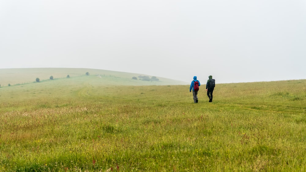 a couple of people walking across a lush green field