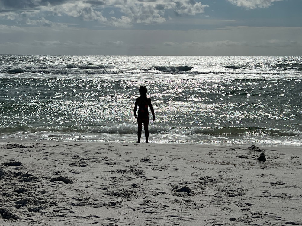 a person standing on a beach next to the ocean