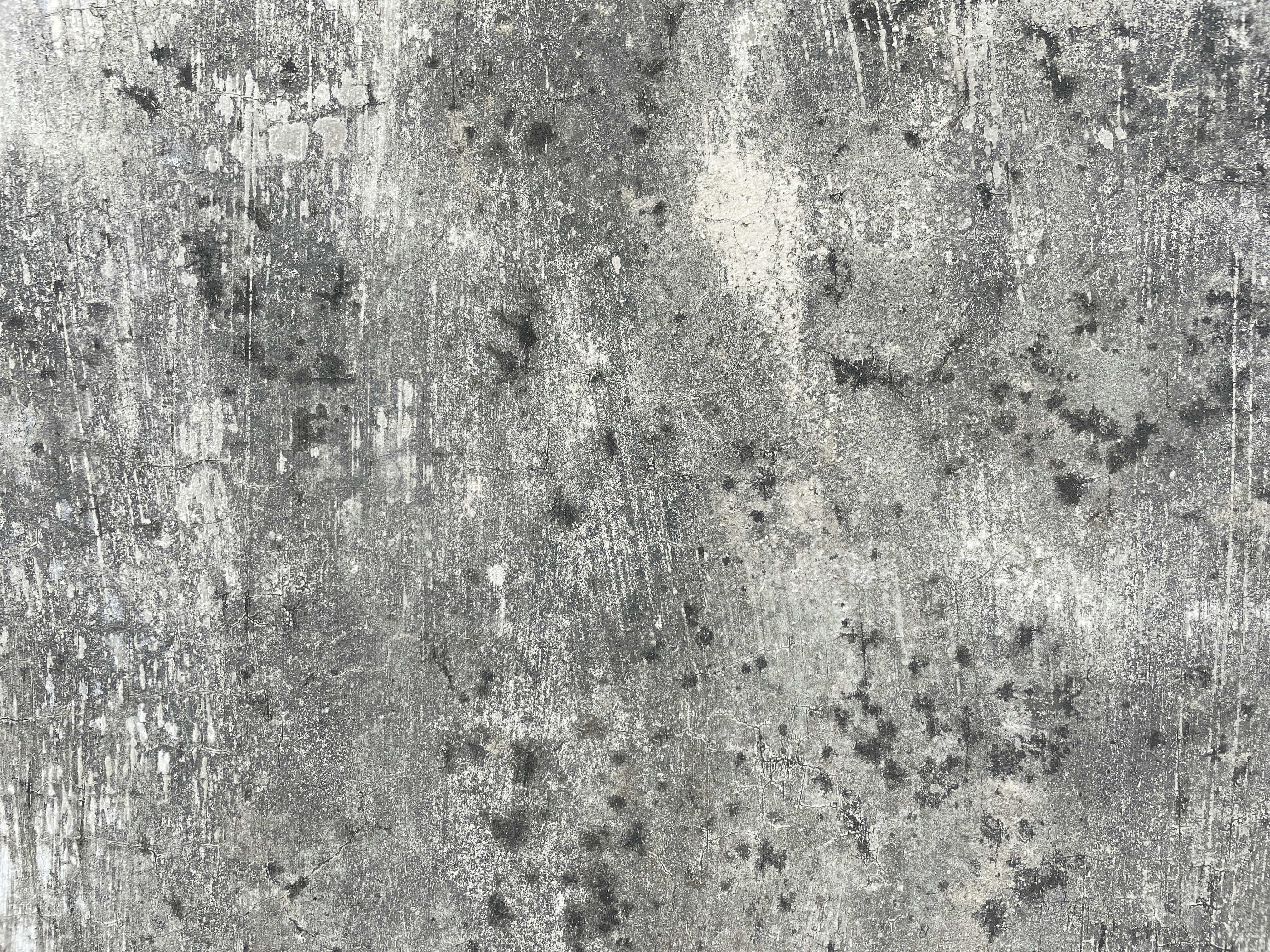 Photo by sehajonly14