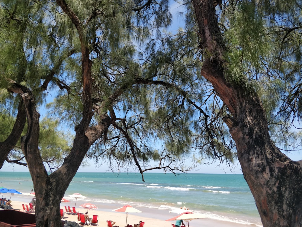 vista para uma praia com guarda-sóis e cadeiras