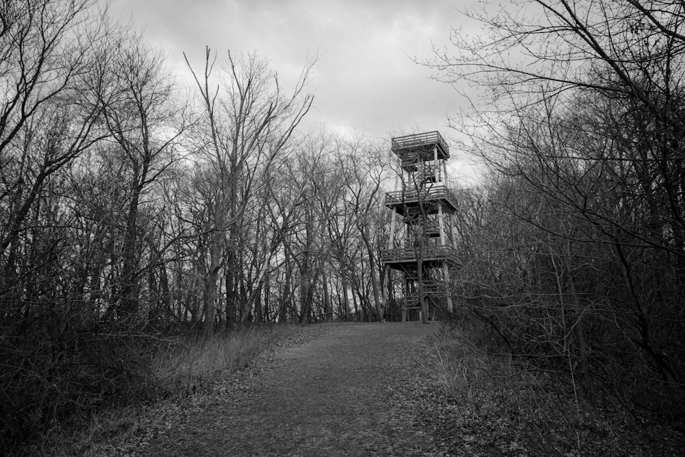 a black and white photo of a tower in the woods