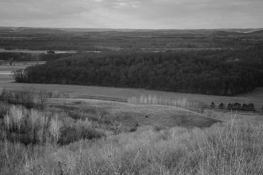 a black and white photo of a landscape