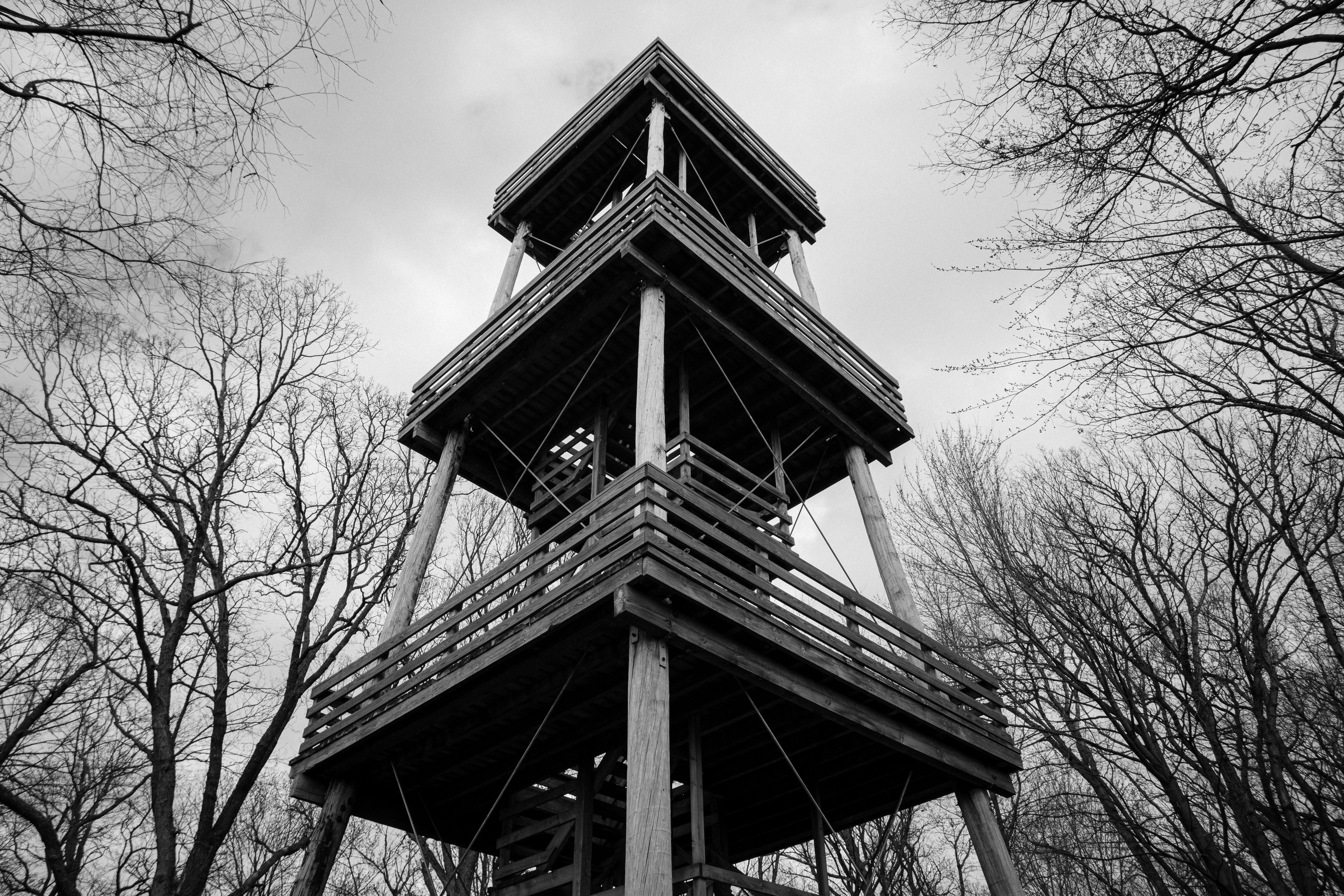 a tall wooden tower sitting in the middle of a forest