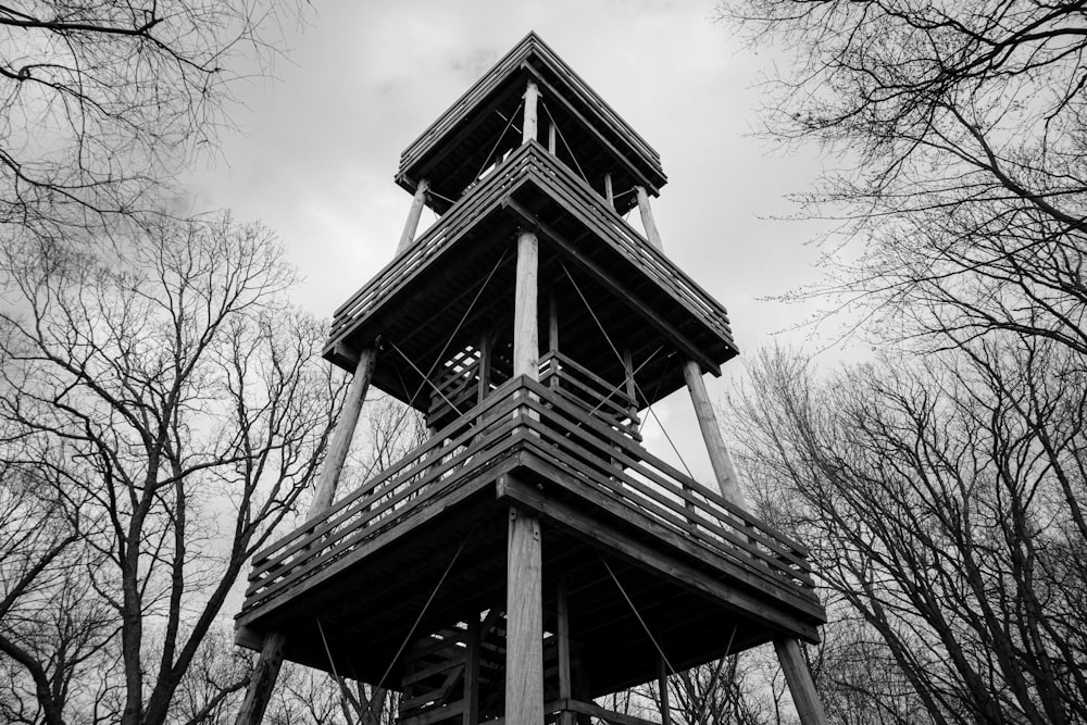 a tall wooden tower sitting in the middle of a forest
