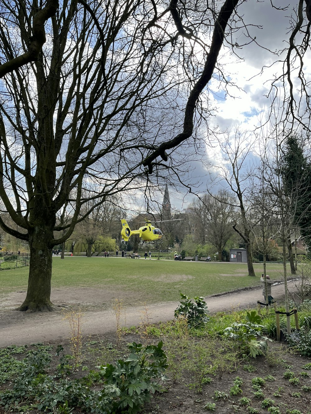 a park with trees, grass, and a building in the background