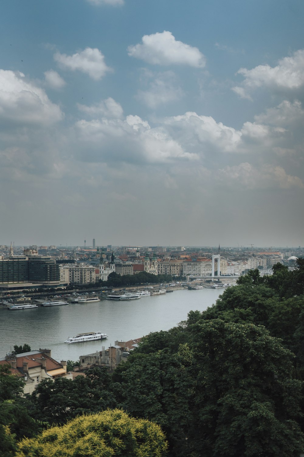 a view of a river and a city from a hill