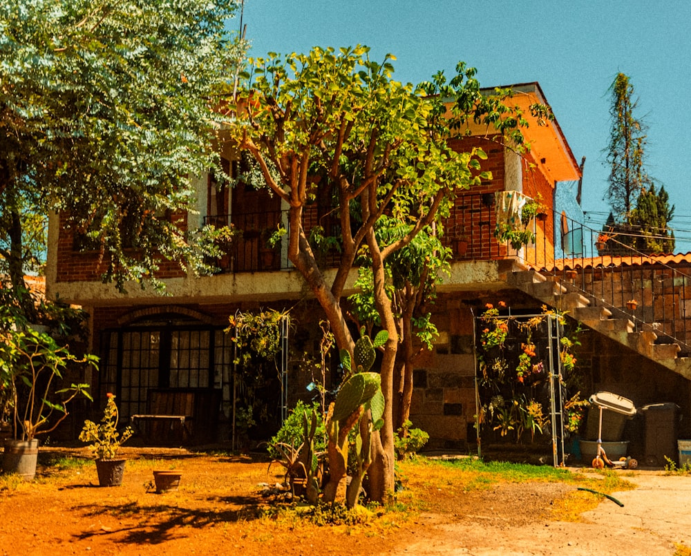 a house with a tree in front of it